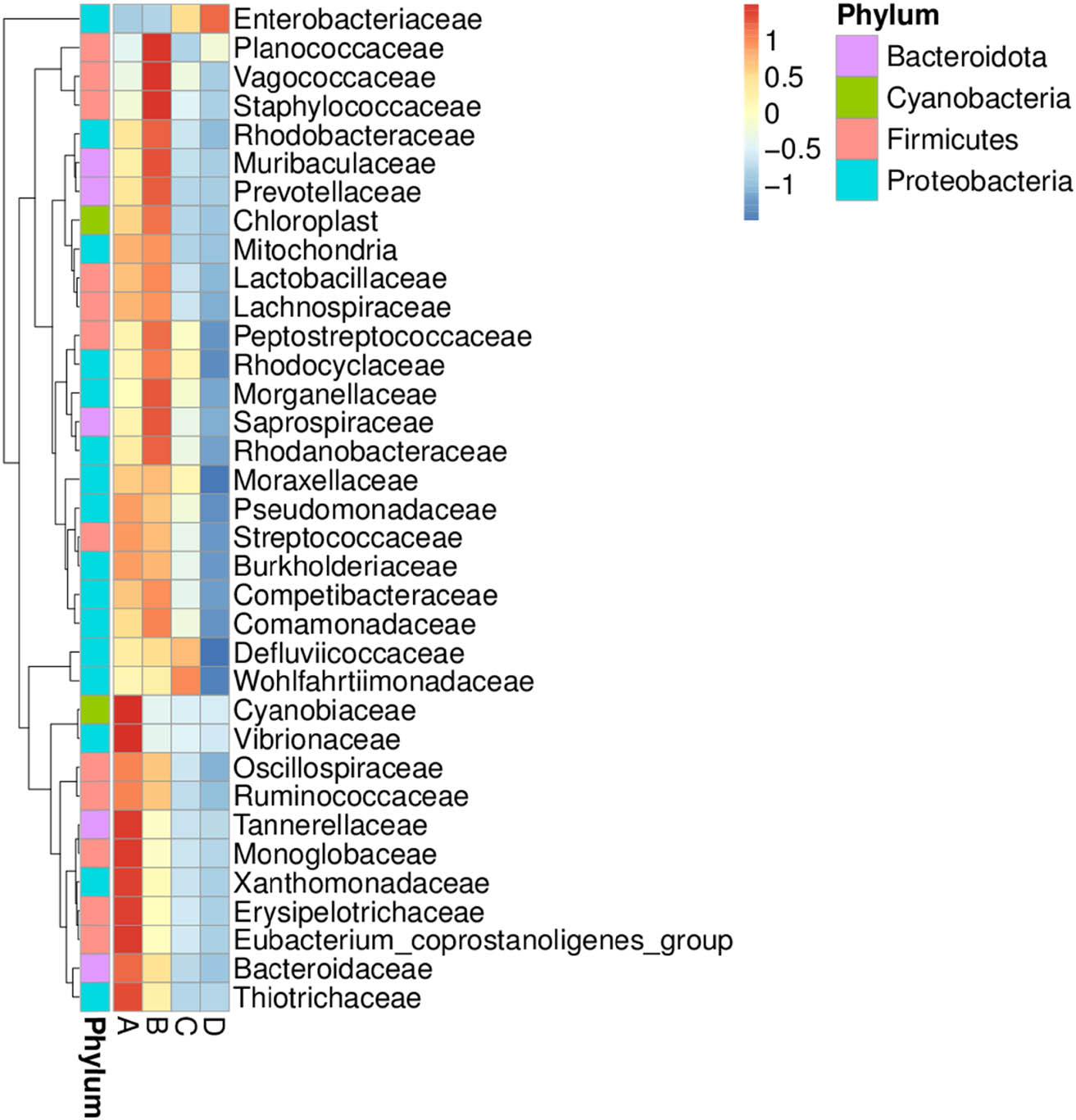 Figure 3
Heat map chart displaying bacterial families’ distribution and abundance in short mackerel under storage conditions and HPB inoculation. The condition codes (A–D) are in accordance with those in Table 2.