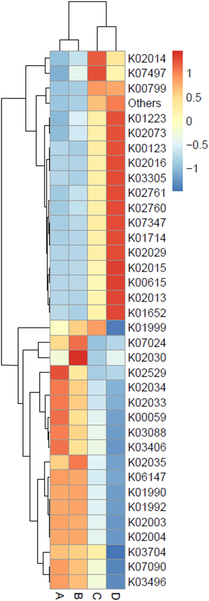 Figure 8
Heat map chart displaying the predicted genes (KEGG Orthology no.) from the bacterial communities in short mackerel under storage conditions and their relative abundance. The condition codes (A–D) are in accordance with those in Table 2.