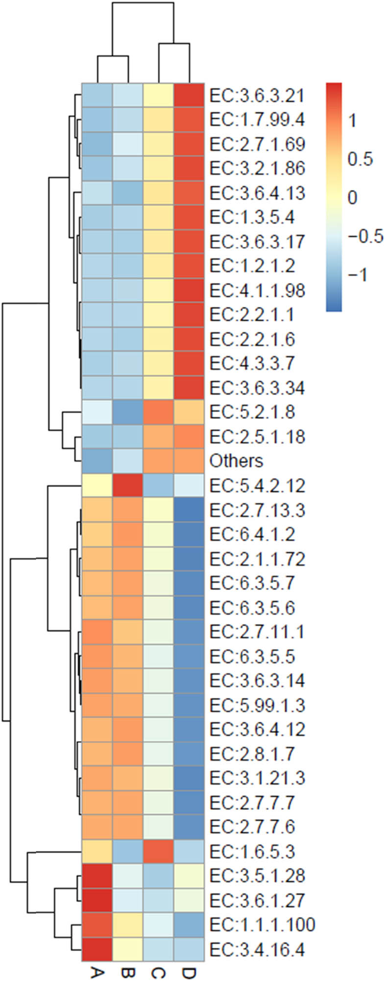 Figure 9
Heat map chart displaying the predicted enzymes (KEGG Enzyme commission no.) from the bacterial communities in short mackerel under storage conditions and their relative abundance. The condition codes (A–D) are in accordance with those in Table 2.