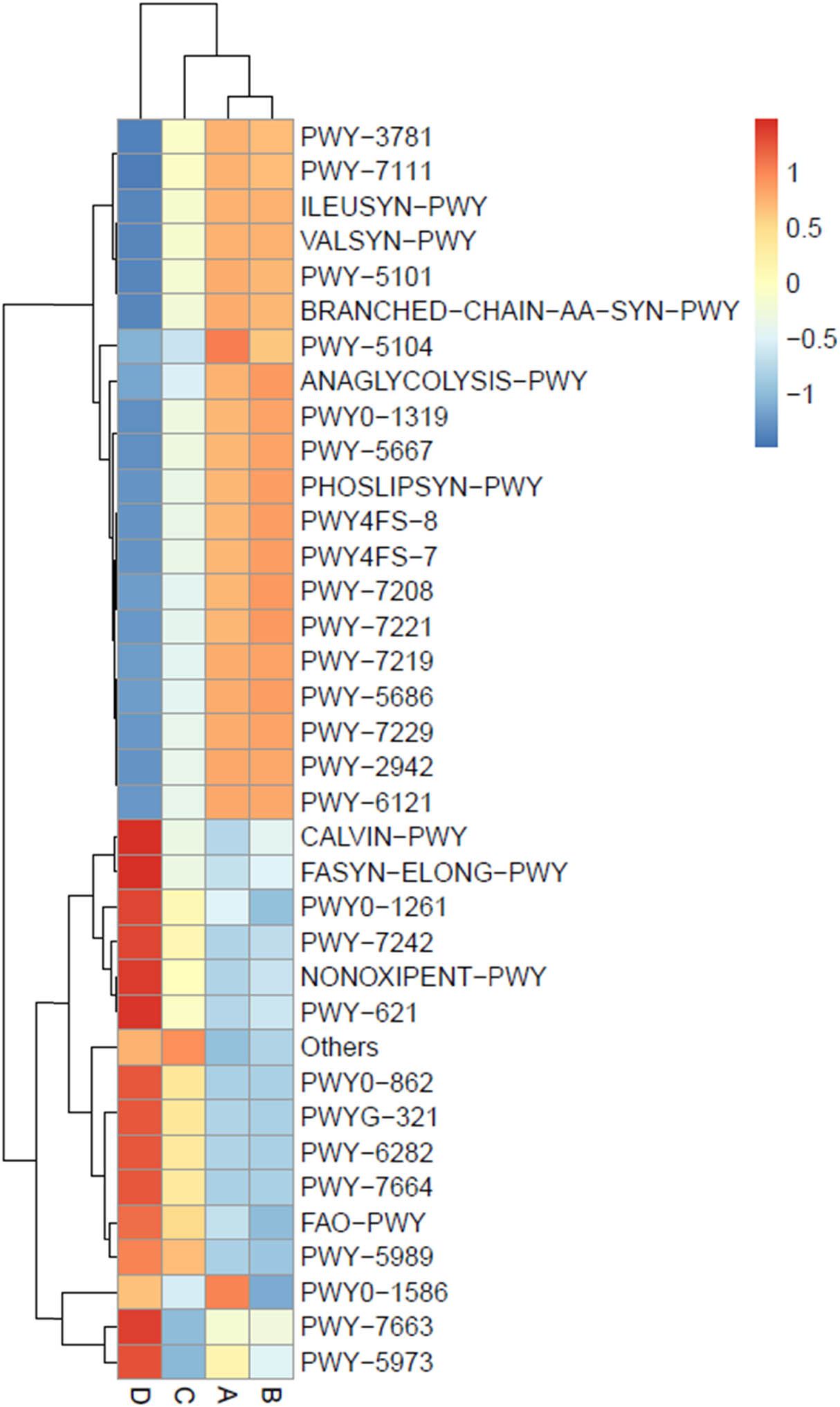 Figure 10
Heat map chart displaying the predicted metabolic pathways (BioCyc ID) from the bacterial communities in short mackerel under storage conditions and their relative abundance. The condition codes (A–D) are in accordance with those in Table 2.