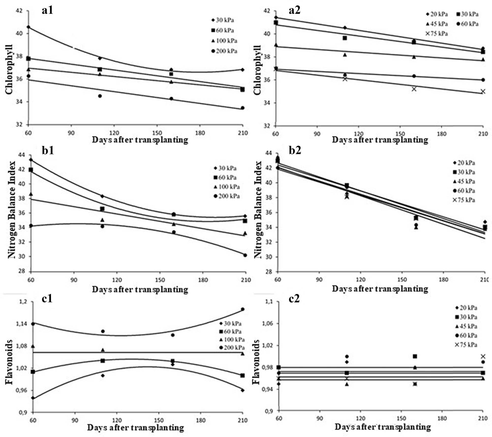 Figure 3
Chlorophyll index (a1) and (a2), nitrogen balance index (b1) and (b2), and flavonoid index (c1) and (c2) in yacon plants, throughout the cycle, subjected to different soil water tensions over 2 years of cultivation. *The numbers next to the letters identify the year of the experiment, with (1) referring to the first experiment (2020) and (2) to the second experiment (2021). The coefficients of the adjusted models are presented in Table 2.