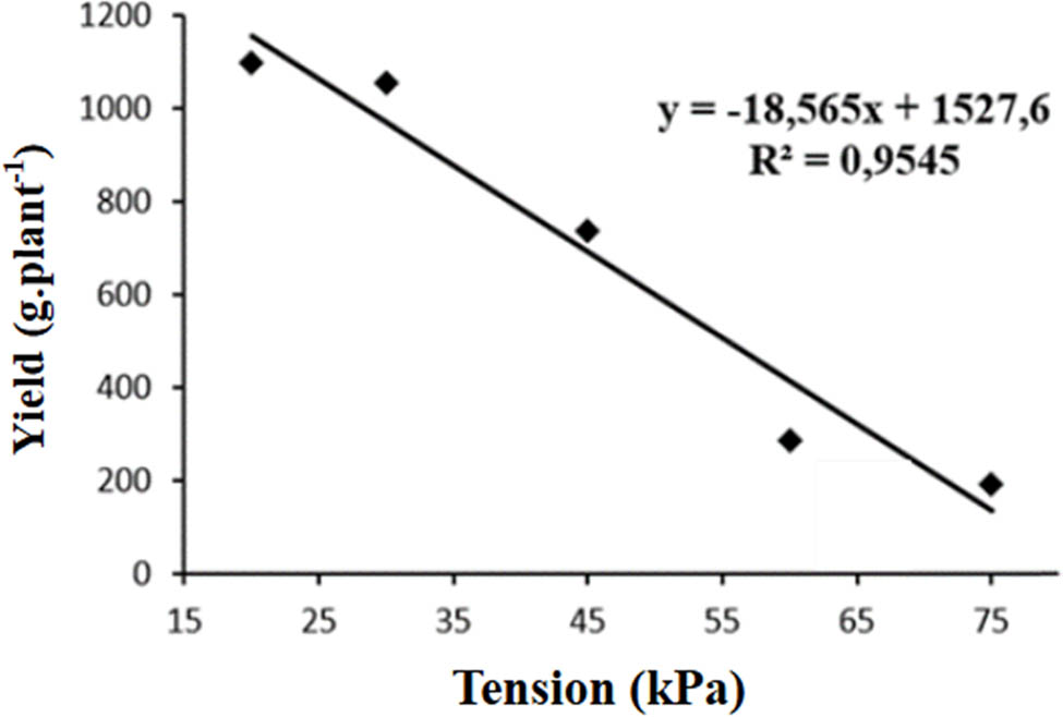 Figure 4
Total production of fresh tuberous roots in yacon plants subjected to different soil water tensions in the second year. Alegre-ES, 2021.