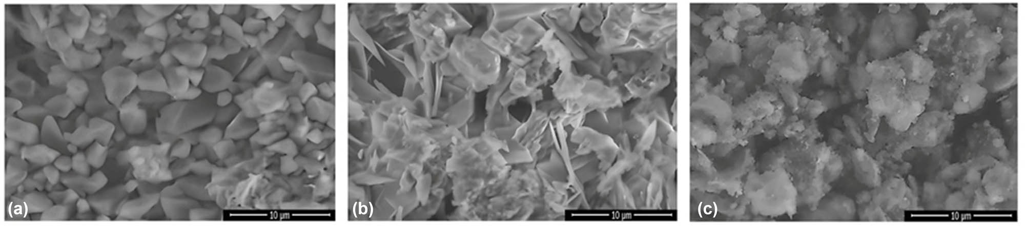 Figure 2
SEM images of CS (a), CS-B (b), and CS-Si (c) nanoparticles. Source: Authors’ original work.