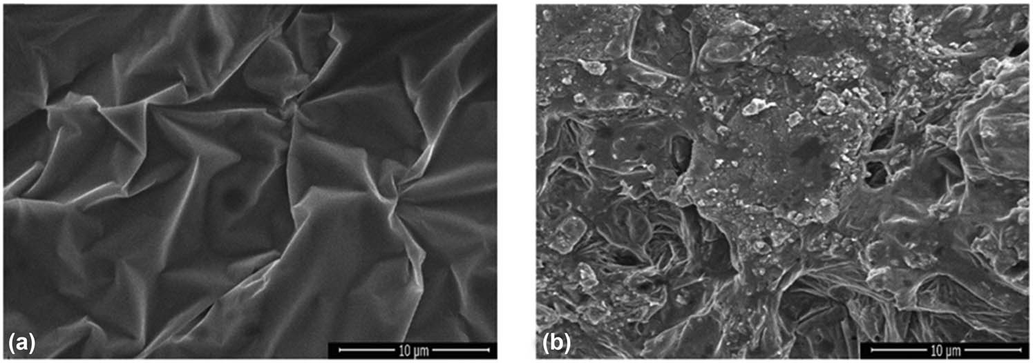 Figure 3
SEM images of SPH (a) and SPH containing CS-B and CS-Si, prepared at a volume ratio of 0.5:2:100 (CS-B/CS-Si/SPH) (b). Source: Authors’ original work.