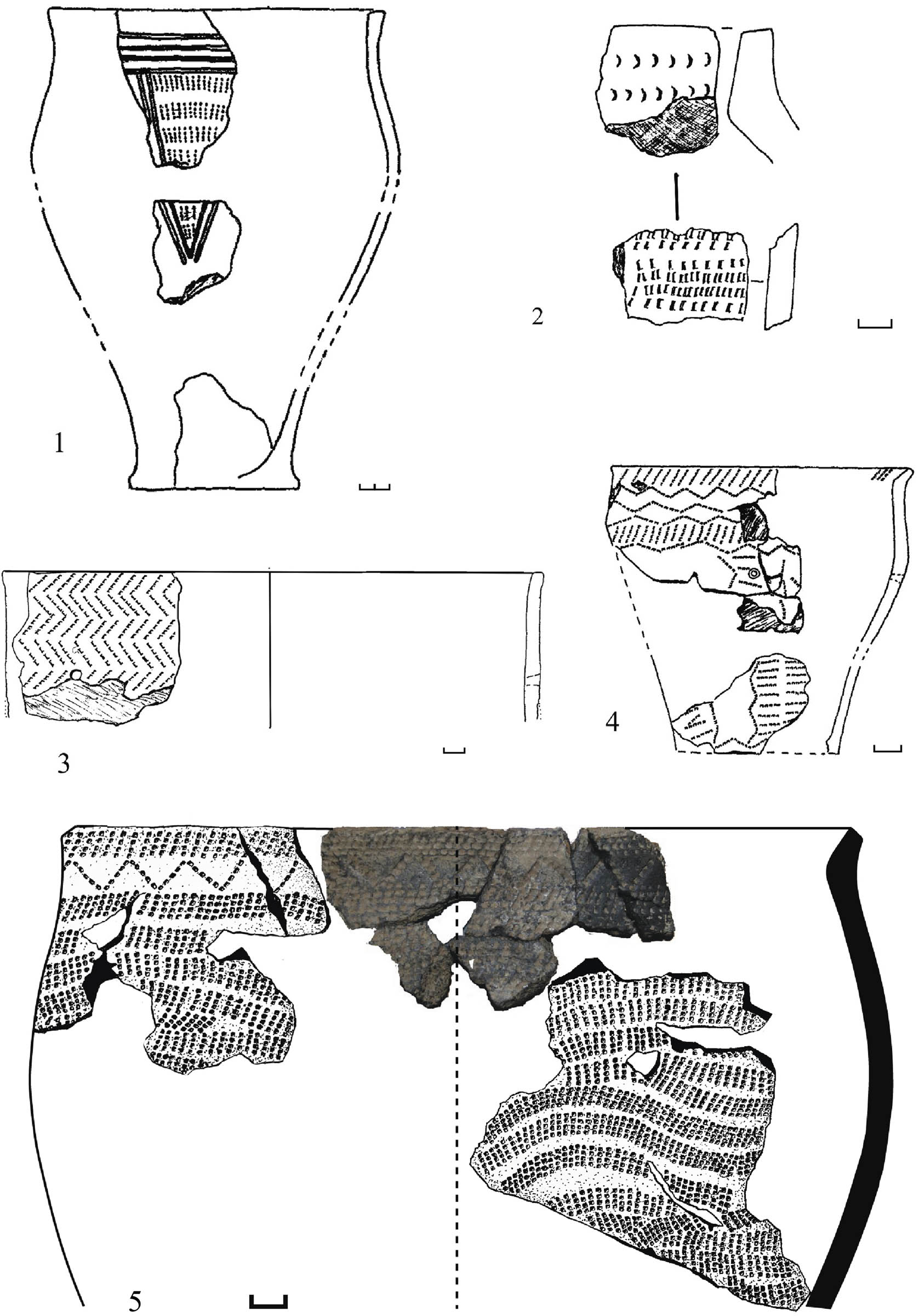 Figure 3
Earliest comb-ornamented pottery from Babino 3 (1), Semenovka 1 (2–4), and Chapaevka (5).