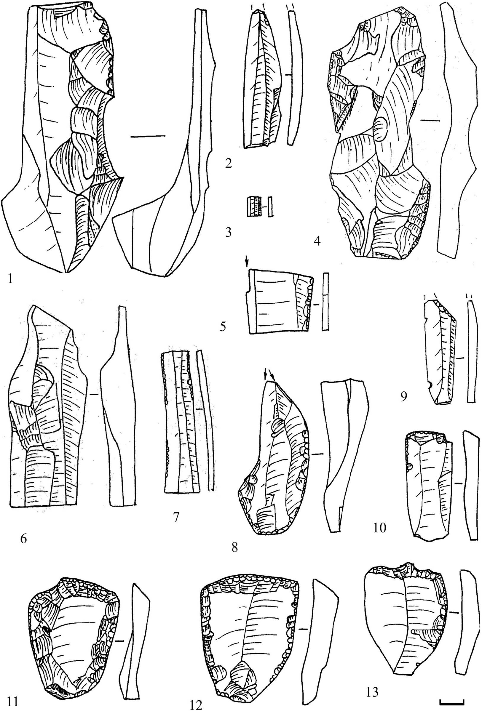 Figure 5
Flint complex from Chapaevka. 1 – distal part of overshot blade; 2, 6–7 – blades; 3 – bladelet; 4 – technical flake with retouch; 5 – simple burin; 8 – transversal burin; 9 – truncated blade; 10–13 – end-scrapers.
