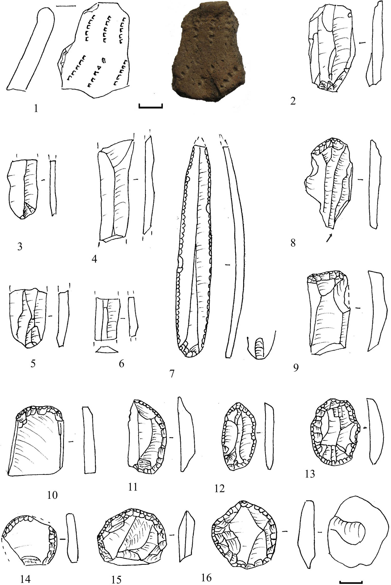 Figure 6
Finds from Razdolnoe (middle seventh millennium BCE). 1 – a shard with comb decoration; 2–4, 5–6 – laminar products; 7 – blade with convergent retouch; 8–16 – end-scrapers.