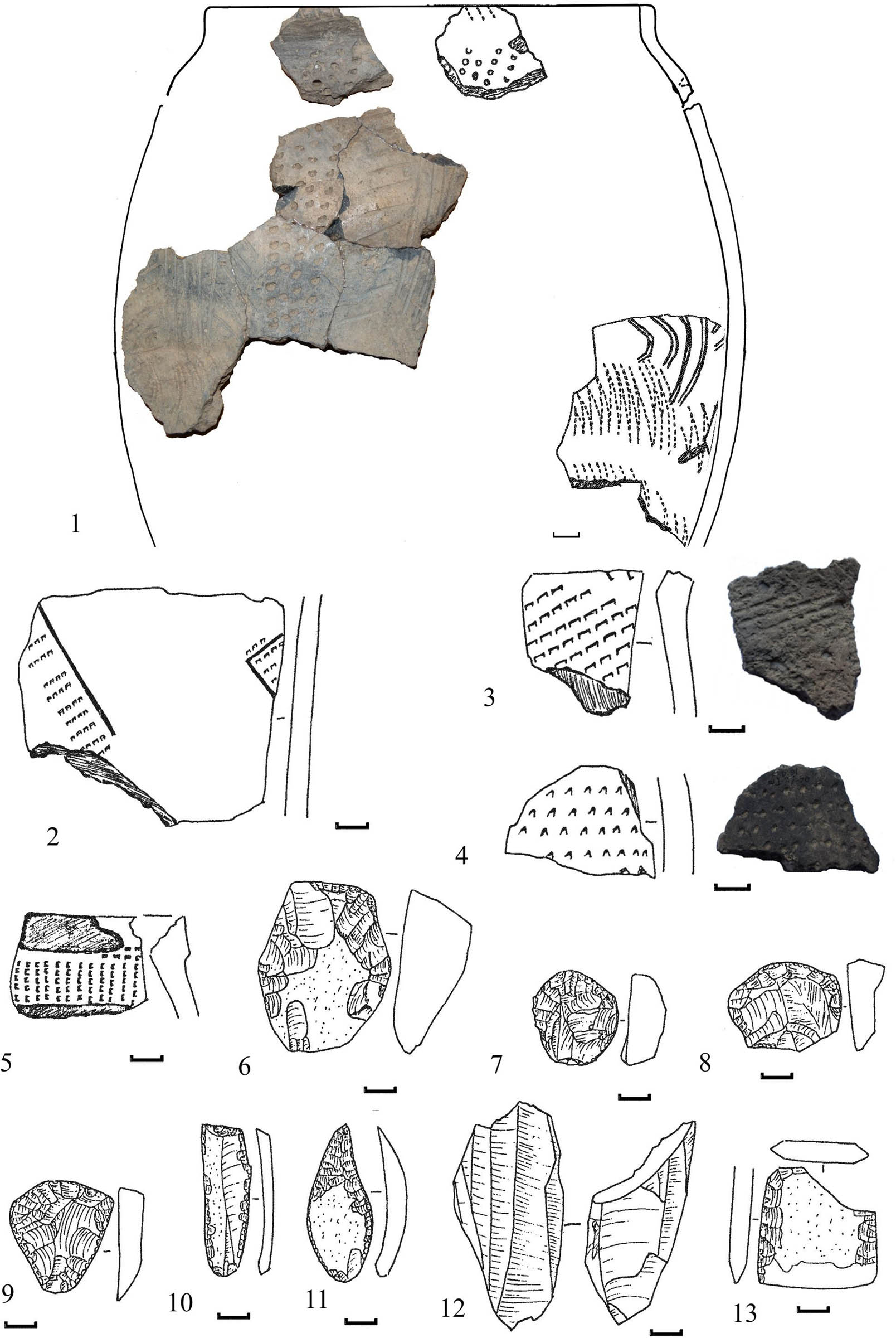 Figure 7
Finds from Razdolnoe (5360–5310 calBCE). 1–5 – potsherds; 6, 12 – knapped objects; 7–9 – end-scrapers; 10 retouched and truncated blade; 11 – point; 13 – adze-like tool.