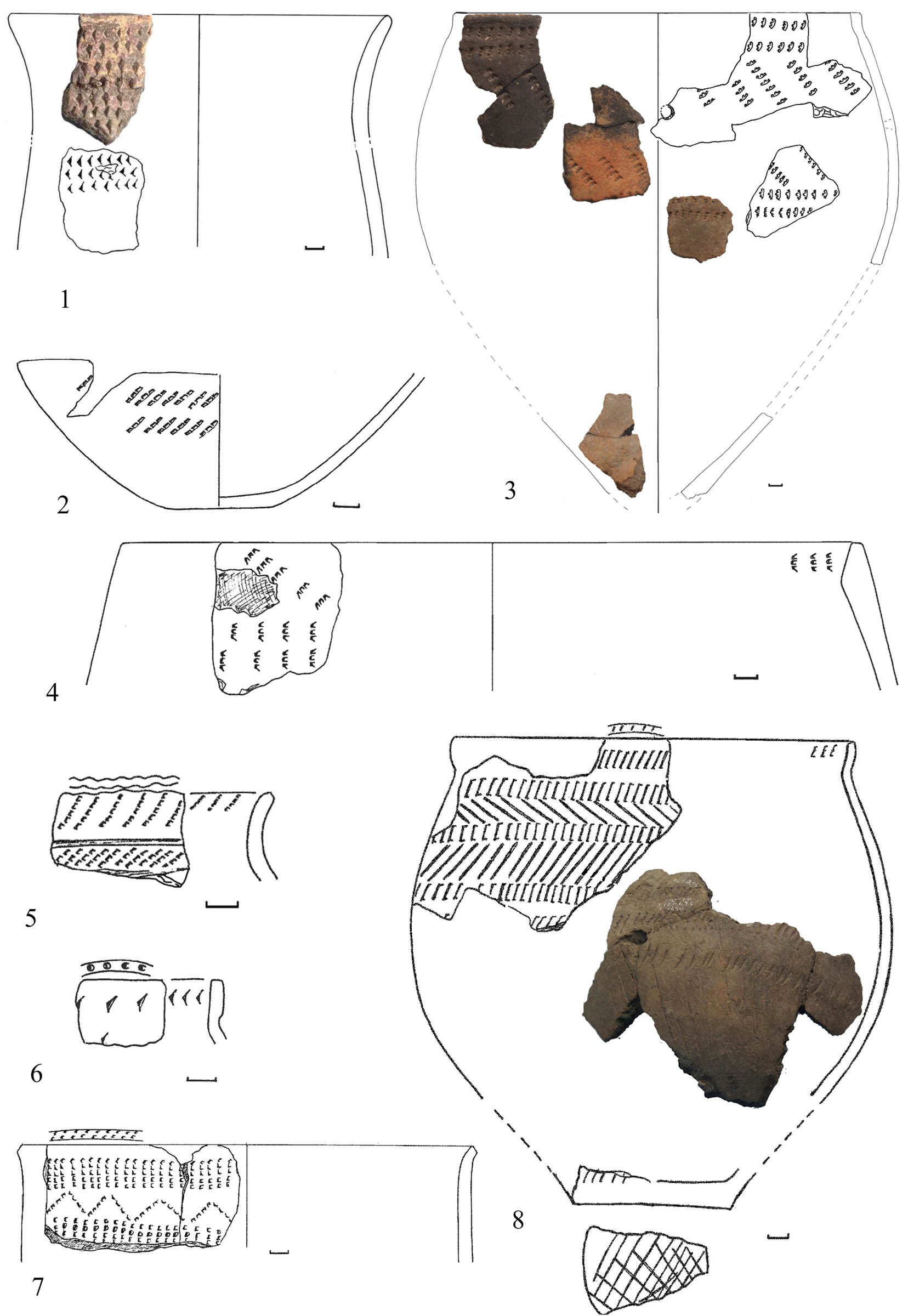 Figure 8
Vessels of Late Sursky culture under a pronounced Azov-Dnieper influence. 1, 4, 7 – Kizlevy 5; 2, 5, 6, 8 – Strilcha Skelia; 3 – Kamyana Mohyla 1.