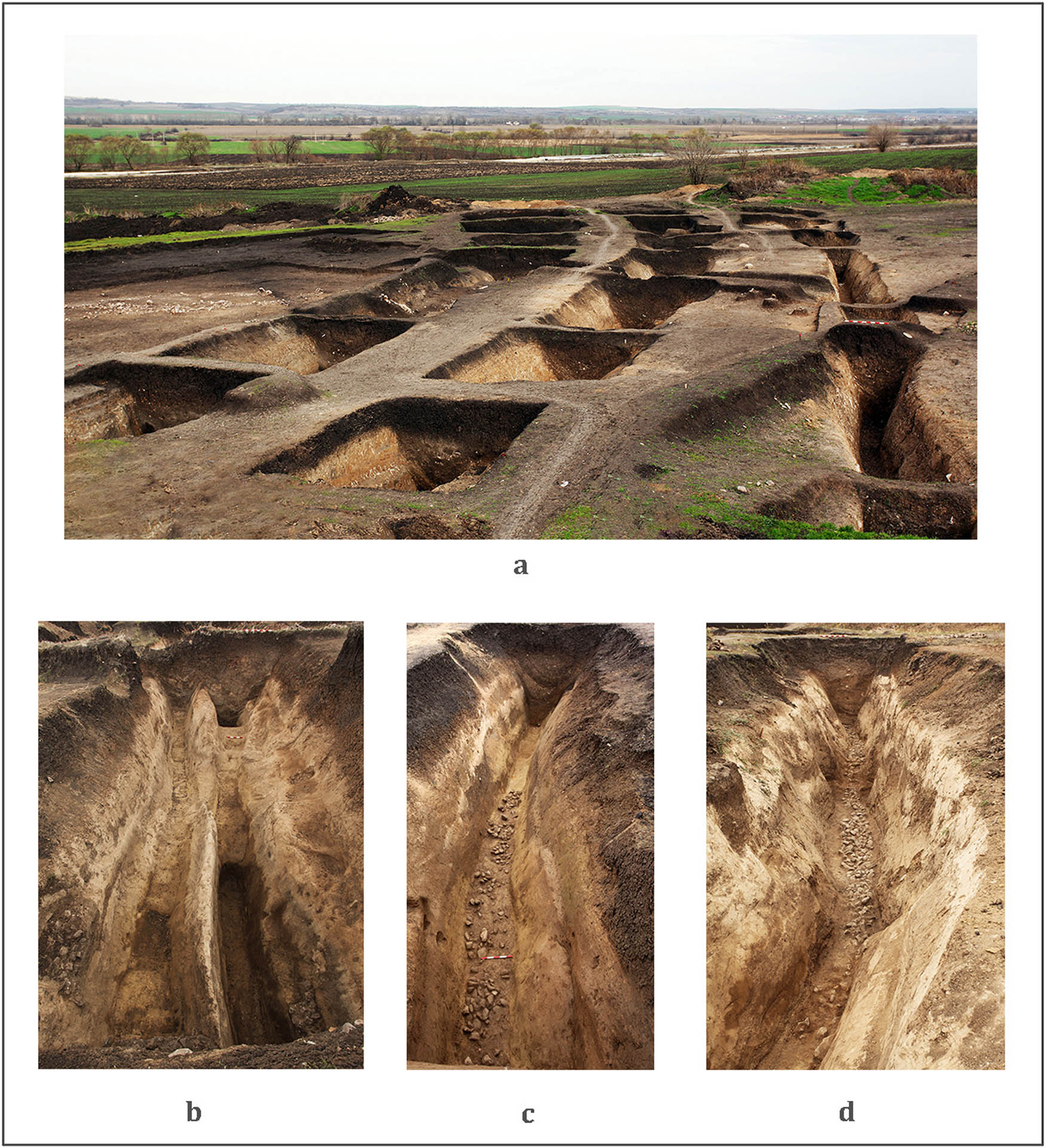 Figure 6 
                  Yabalkovo 1 enclosure ditches: (a) panorama of the three concentric ditches in the southern part of the enclosure, view from the west (Leshtakov, 2014b, p. 192, Figure 64); (b) photograph of the two recuts of the inner ditch in the northern part of the enclosure, view from the west; (c) photograph of the middle ditch in the northern part of the enclosure, view from the west; (d) photograph of the outer ditch in the northern part of the enclosure, view from the east (b–d, after Petrova, 2014).
               