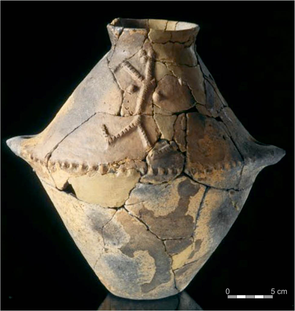Figure 8
Amphora with anthropomorphic representation from Targowisko site 11 (acc. to Grabowska & Zastawny, 2007).