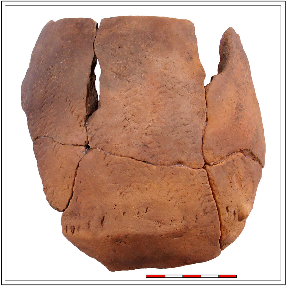 Figure 10
Pear-shaped vessel with tremolo ornamentation from Targowisko site 12–13 (acc. to Czerniak et al., 2007).