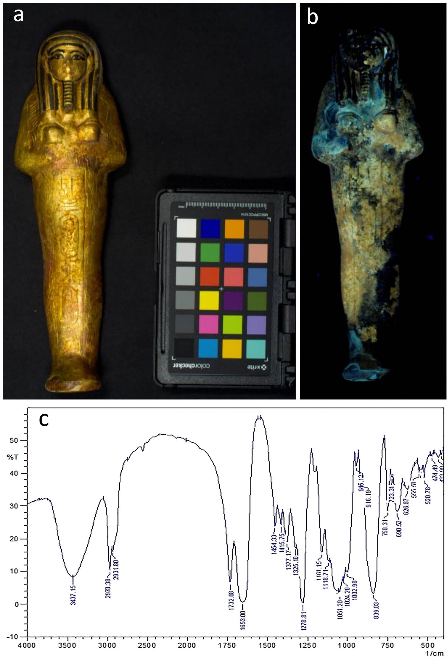Figure 9 
                  Analytical characterization of the previous consolidation material on the outer surface of Object GEM 3452: (a) visible image; (b) UV luminescence image; and (c) FTIR spectrum of sample 1.
               