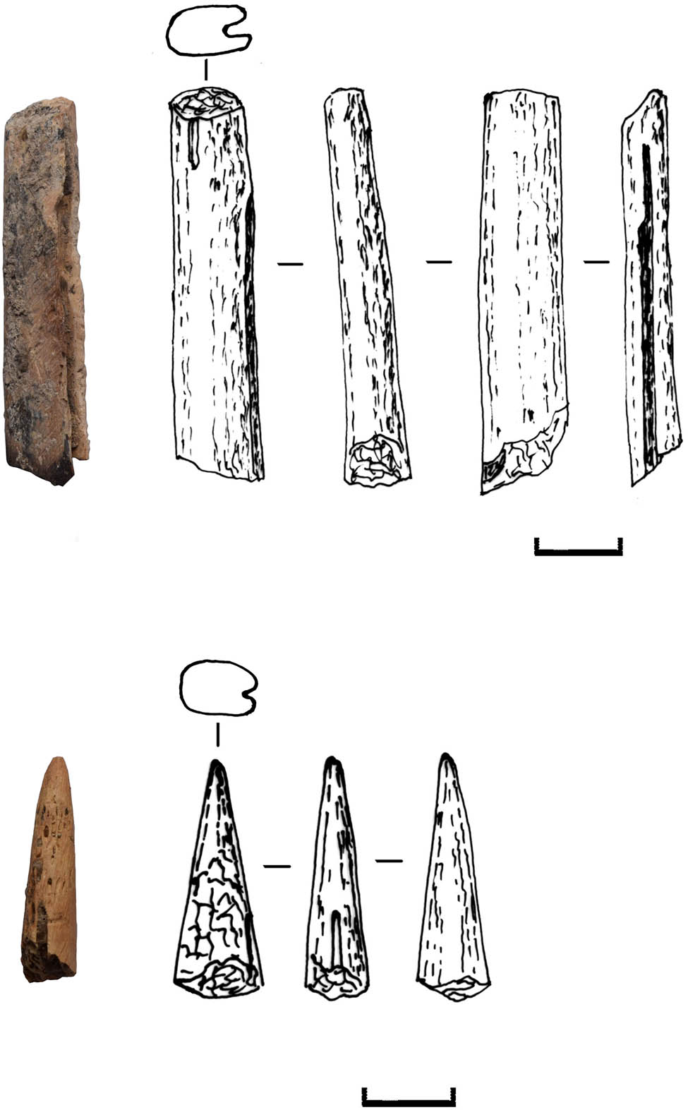 Figure 1
Bone points from the layer B of Kamyana Mohyla 1. Above – 2018, trench 2, sq. 16, z – 90; Below – 2017, trench 2, sq. 17, z – 92.