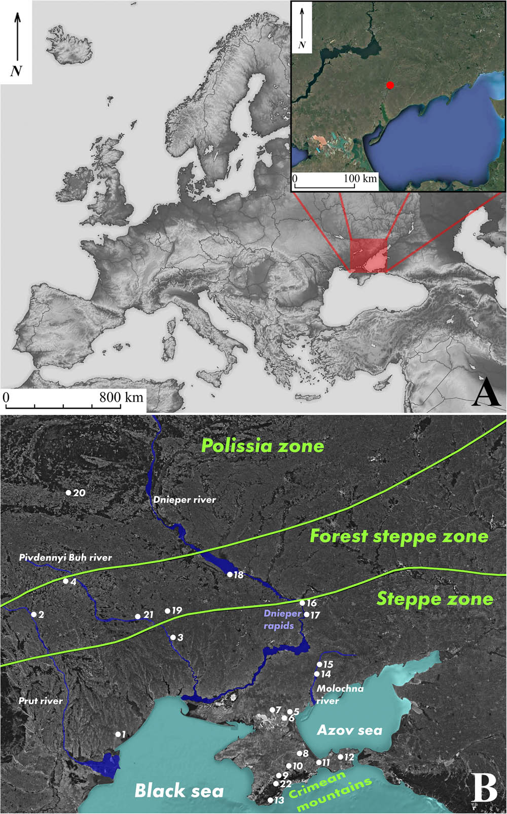 Figure 2
(a) Map: Situation of North Meotic region in Europe (rectangle) with a location of the Kamyana Mohyla 1 site (red circle) (b) Map: Sites in the south of Eastern Europe which were attributed to “Kukrek” sensu lato: (1) Trapivka, (2) Badragii Vechi, (3) Abuzova Balka, (4) Mykolaivka, (5) Liublinka II, (6) Vesnianka V, (7) Serhiivka I, (8) Olexiivska Zasukha, (9) Kukrek, (10). Vyshenne 1, (11) Frontove, (12) Tasunove, (13) Balin-Kosh, (14) Kamyana Mohyla 1, (15) Prylukivka, (16) Ihren VIII, (17) Sursky ostriv, (18) Velyka Andrusivka, (19) Dobrianka III, (20) Lazorivka, (21) Melnychna Krucha, (22) Domchi-Kaia.