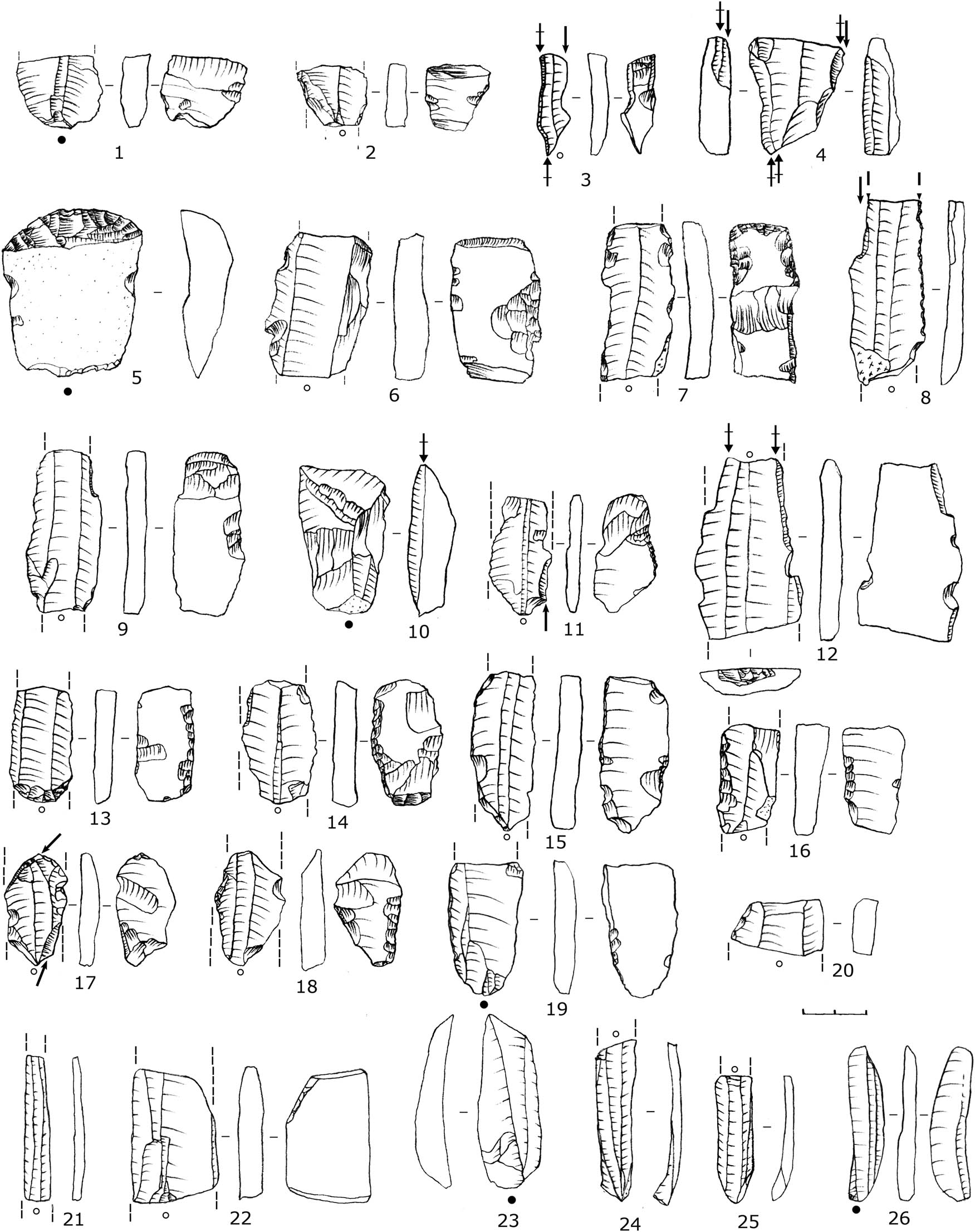 Figure 9
Kamyana Mohyla 1, layer B: lithic inventory. Arrow – a burin blow negative without a counter-bulb; crossed arrow – a burin blow negative with a counter-bulb; circle – a point of impact; filled – with preserved bulb; empty – with no bulb. 1–2, 6–7, 9, 11, 13–18 - Kukrek inserts; 3–4, 8, 10, 12 – burins; 5 – endscraper, 19–20 – retouched blades; 21–26 – blades and bladelets.