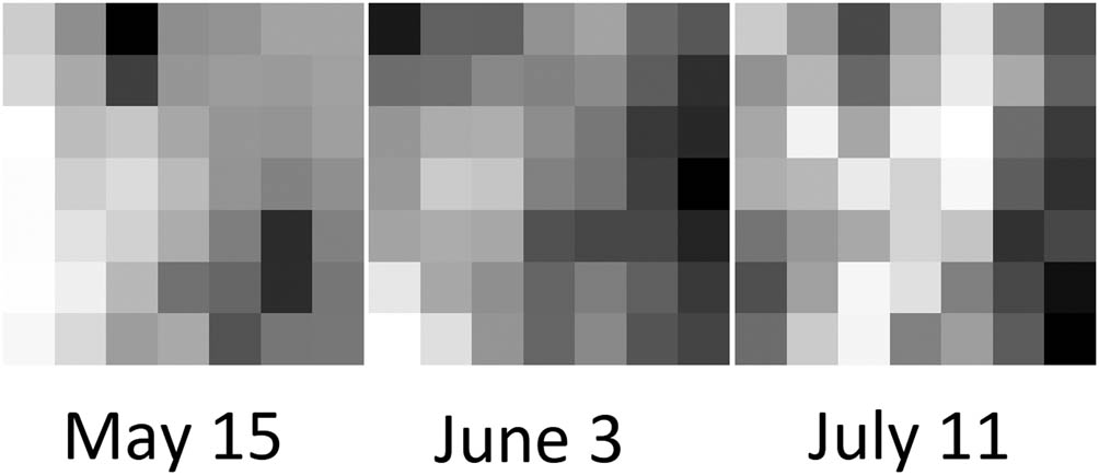 Figure 2 
                  Interpolations using the same gain and threshold settings with different soil moisture conditions. Each survey was conducted with gain set to 60, threshold at −40.
               