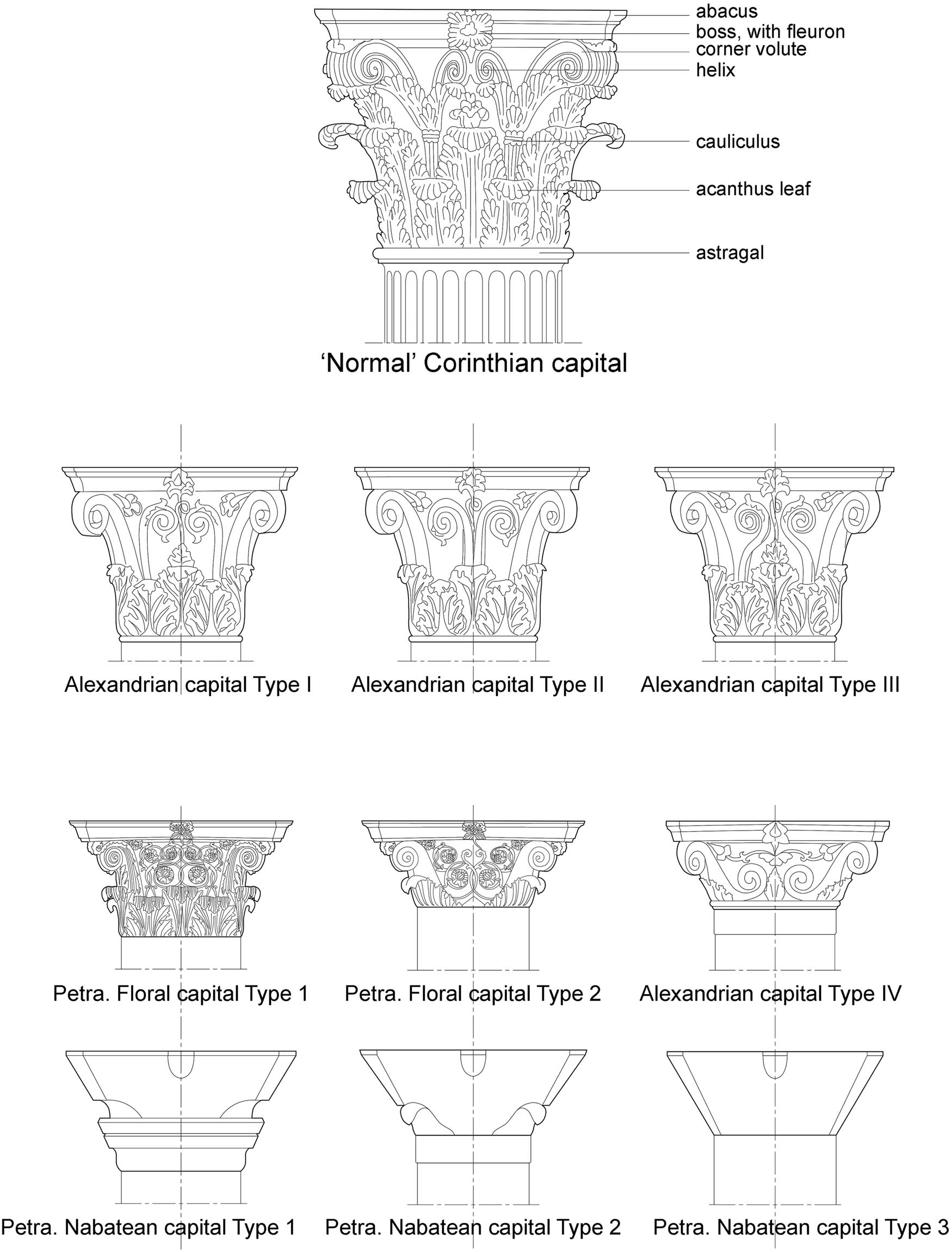 Figure 8 
                  Evolution of capitals forms. “Normal” Corinthian, Alexandrian, Floral, and Nabatean Types (drawing: U. Kraśniewska, based on McKenzie, 1990, p. 190; 2007, p. 85).
               