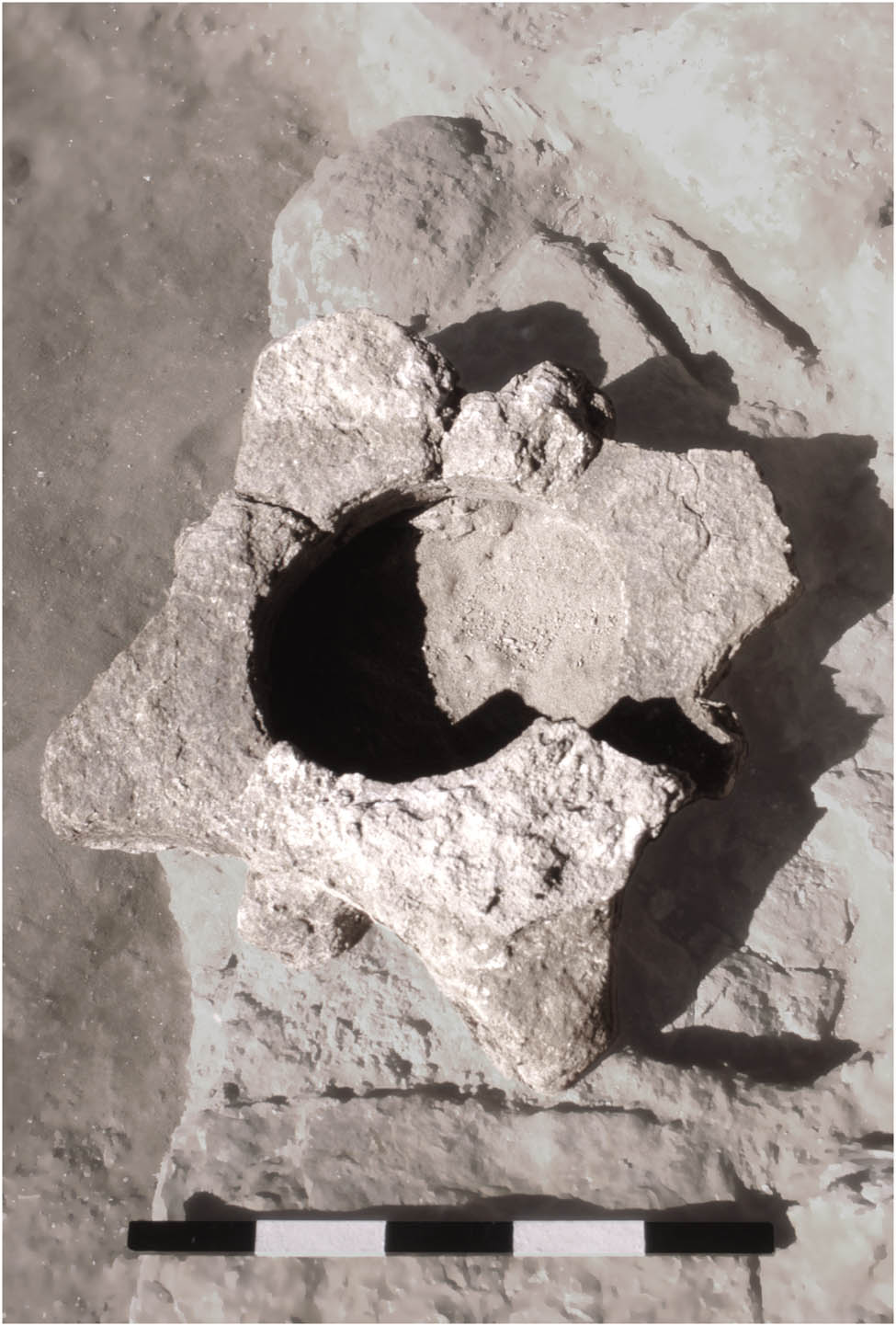Figure 10 
                  Blocked-out capital from Berenike trench BE95-4, scalebar measures 50.0 cm (photography: S. E. Sidebotham).
               