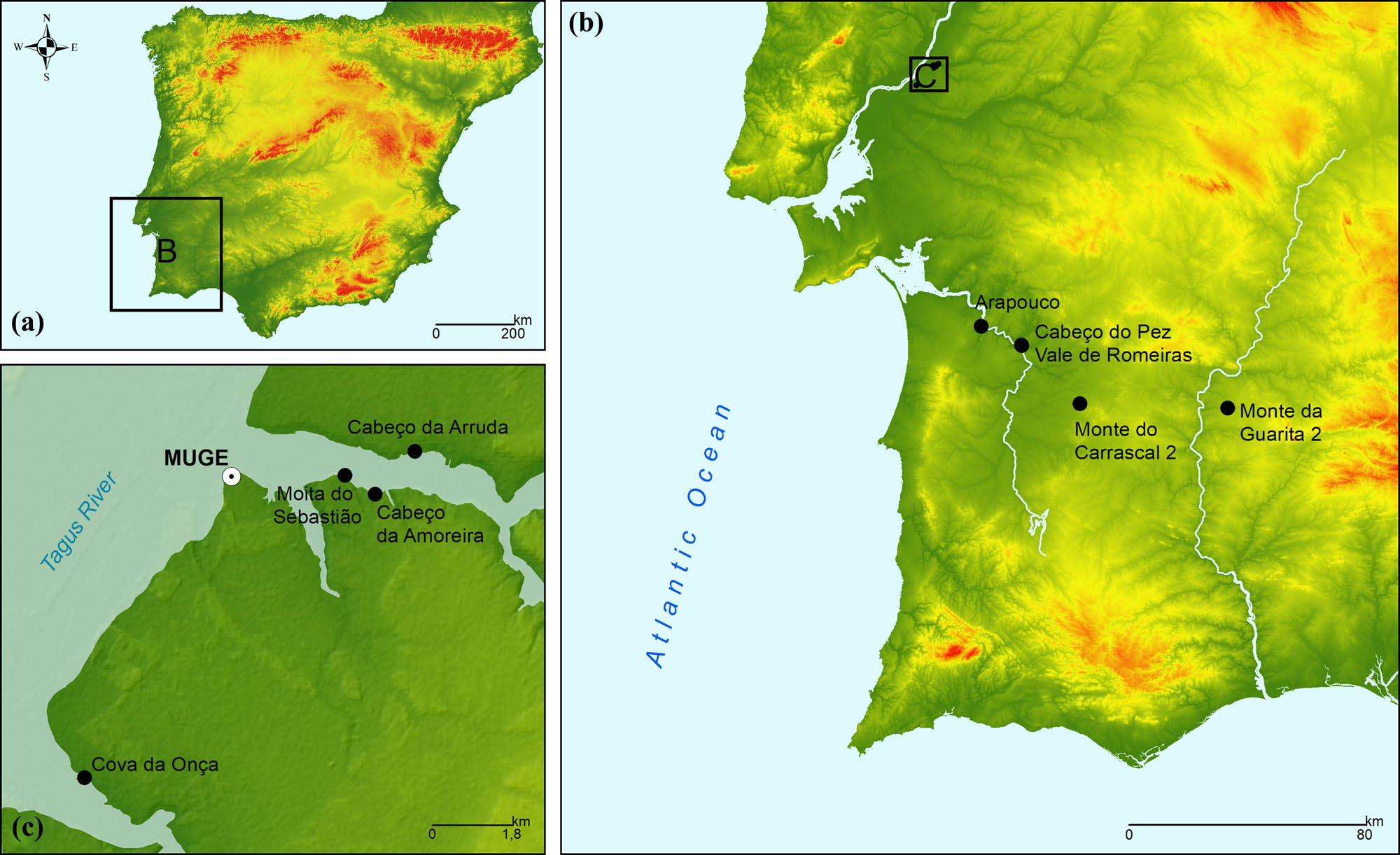 Figure 1
Location of the archaeological sites from which the specimens used in this study were recovered. (a) Overall location of sites within Iberia. (b) Cluster location of the Muge shell-middens and individual location of the remaining sites. (c) Individual location of each of the Muge sites.