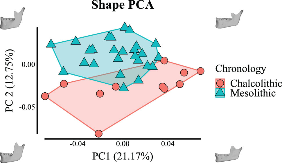 Figure 3
PCA of shape variation of Mesolithic hunter–gatherer and Chalcolithic agro-pastoralist mandibles.