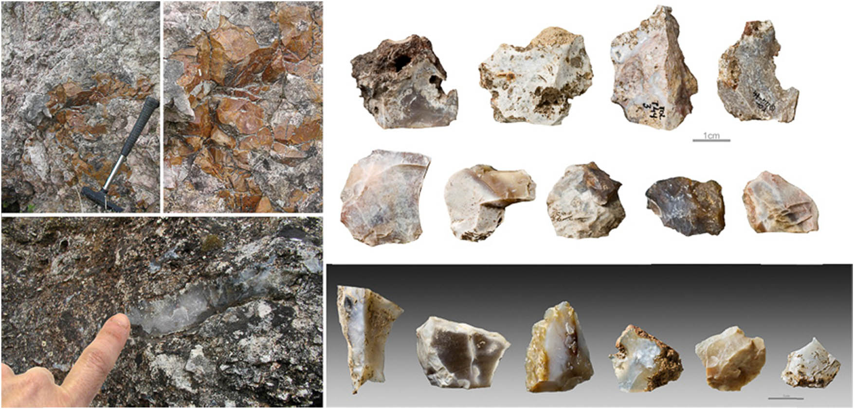 Figure 3
Toledo: the low-quality siliceous materials used to produce the small and non-standardized flakes, the most common type of blank recovered at the shell midden site. Photo, J. P. Ruas.