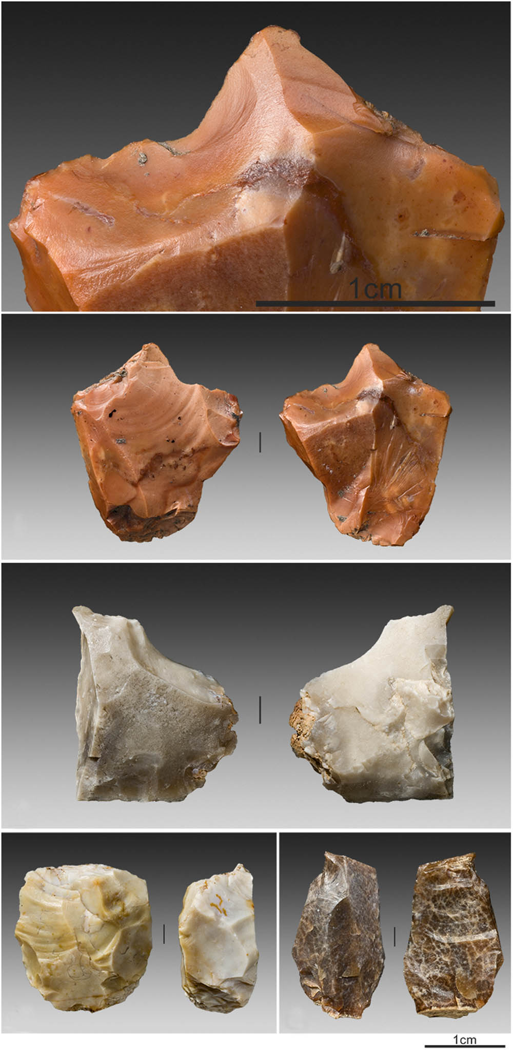 Figure 5
Toledo: artefacts used as tools (confirmed by use-wear analyses) and as splintered pieces (used as cores). Photo, J. P. Ruas.