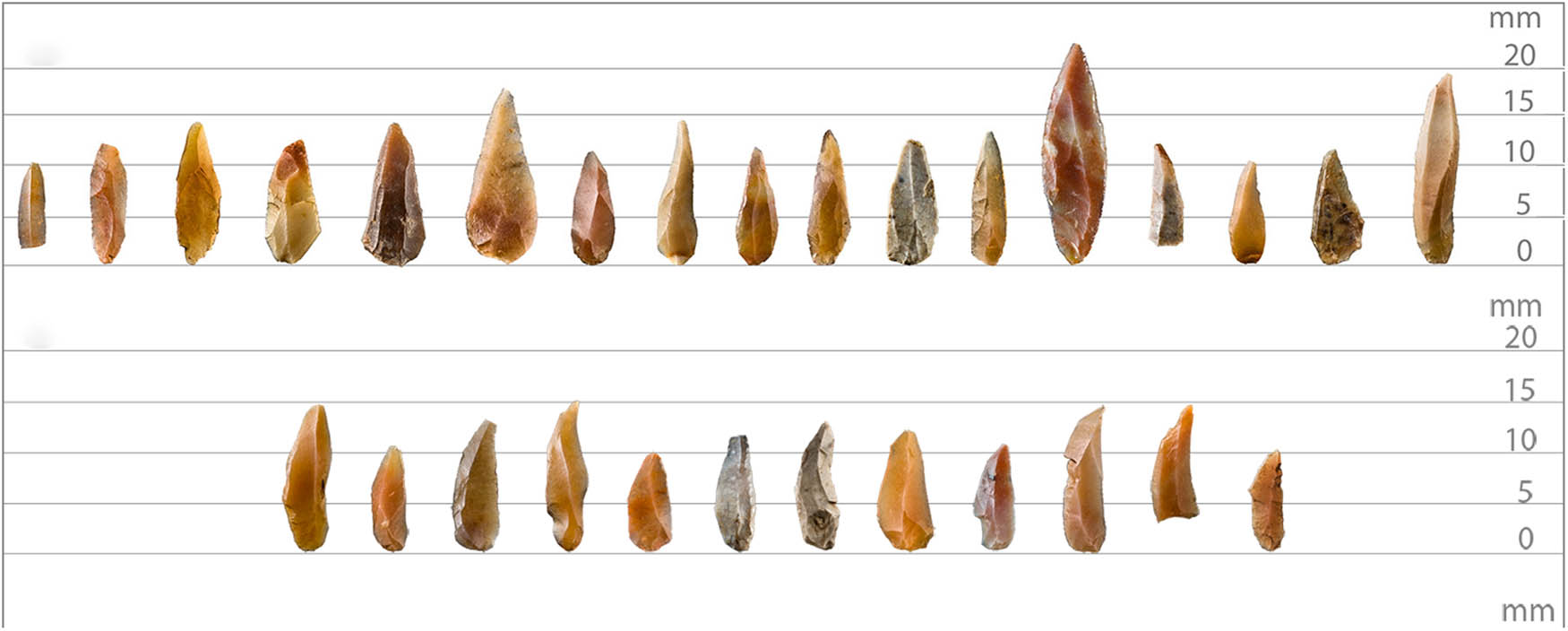 Figure 6
Areeiro 3: the Areeiro bladelets produced from carinated cores to be used as barbs for composite tools. Photo J. P. Ruas.
