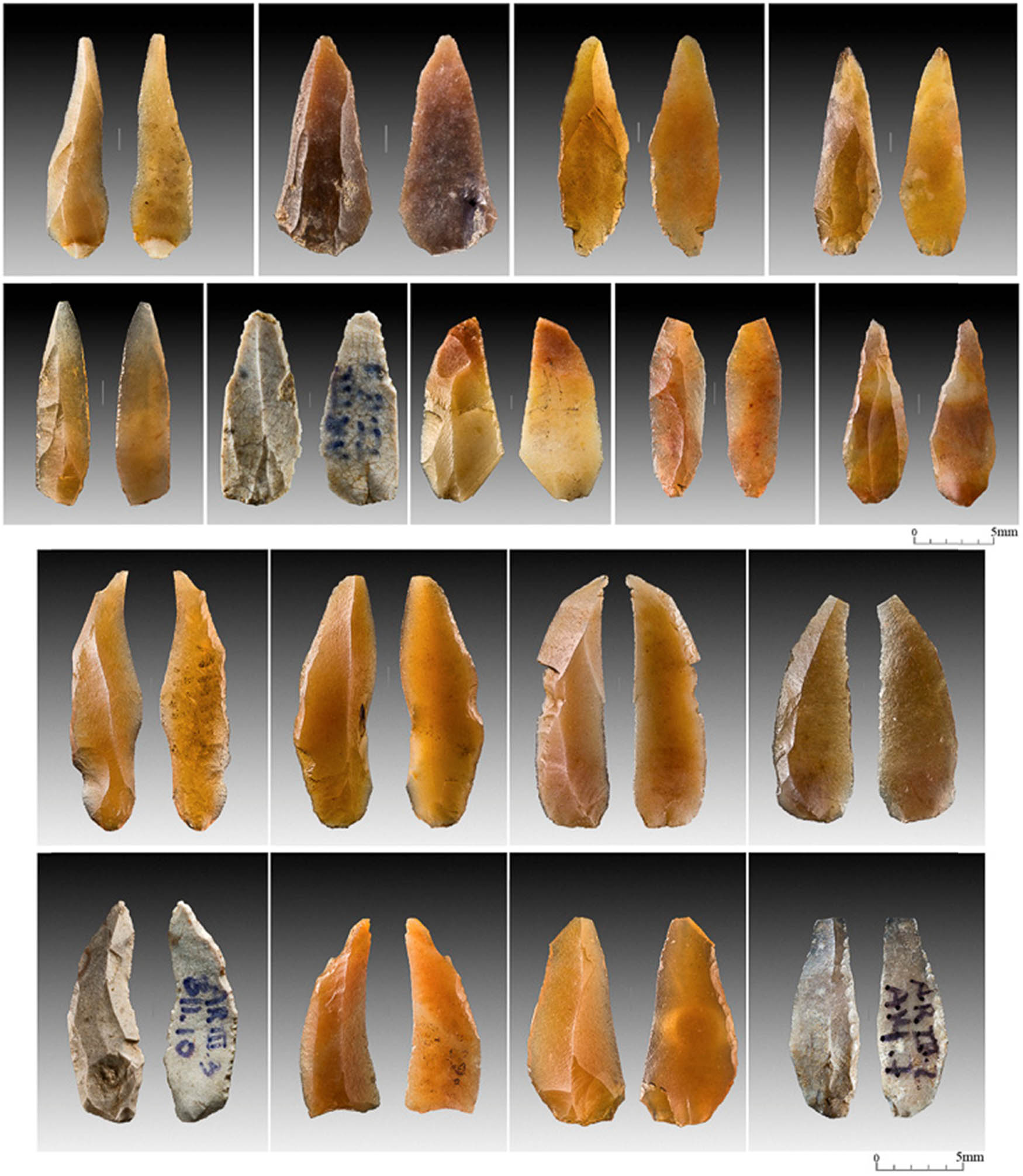 Figure 7
Areeiro 3: Areeiro bladelets. Photo J. P. Ruas.