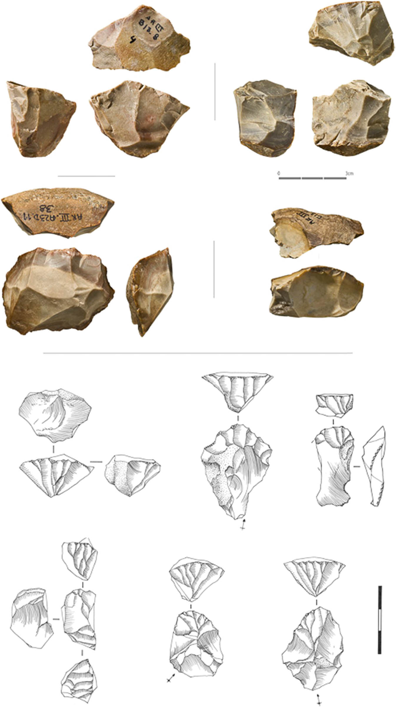 Figure 8
Areeiro 3: cores of carinated endscraper type from which blanks for the Areeiro armatures were produced. Photo, J. P. Ruas; drawing, F. Boto.