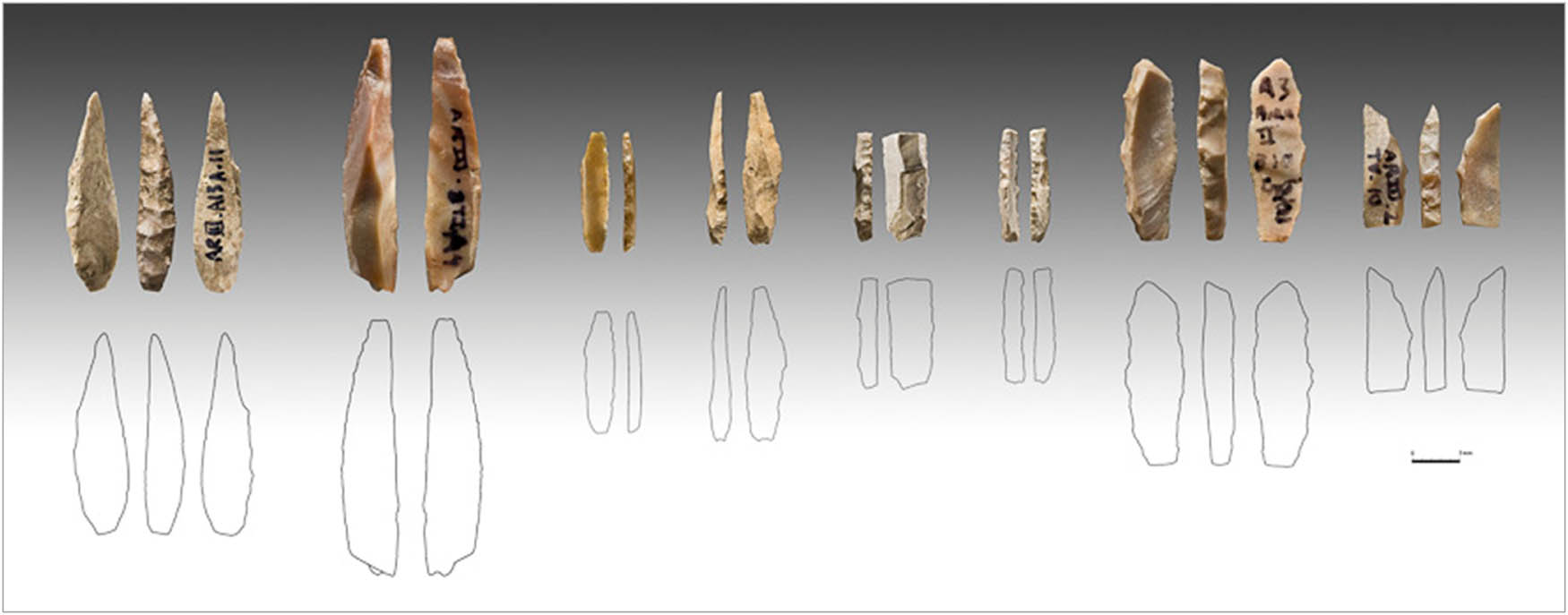 Figure 10
Areeiro 3: backed bladelets made from burin spalls. Photo, J. P. Ruas.