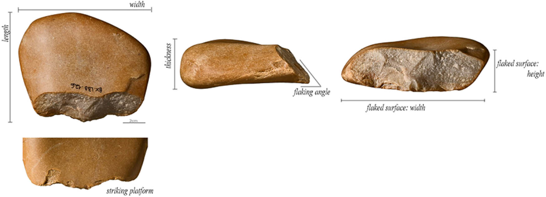 Figure 11
Barca do Xerez de Baixo: cobble thickness guided the production of flakes at the site. Photo, J. P. Ruas.