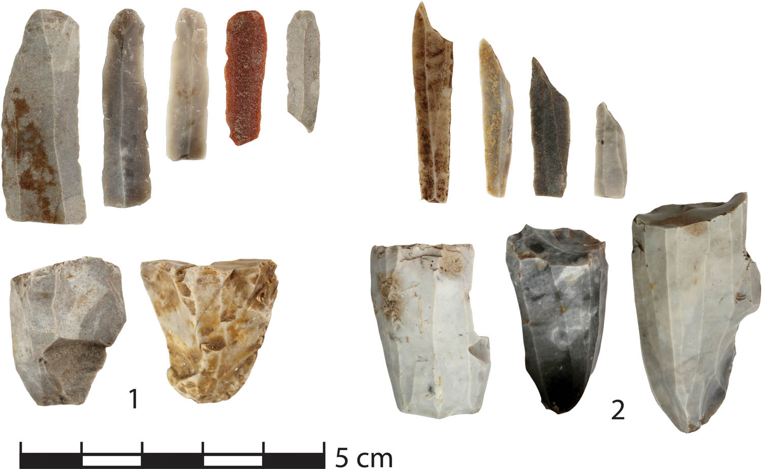Figure 8 
                     Typical flint artefacts. 1. Cores and blades/microblades from Adal. 2: Cores and microliths from Løvås. Photo: Silje Hårstad, Inger M. Berg-Hansen, MCH, University of Oslo.
                  