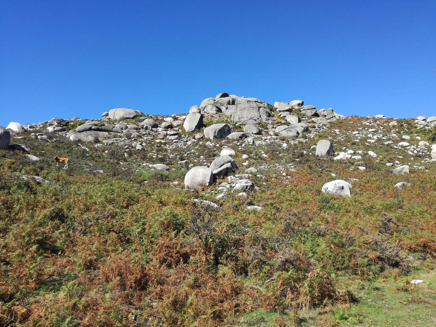 Figure 2
Granitic landforms in Cabreira mountain.