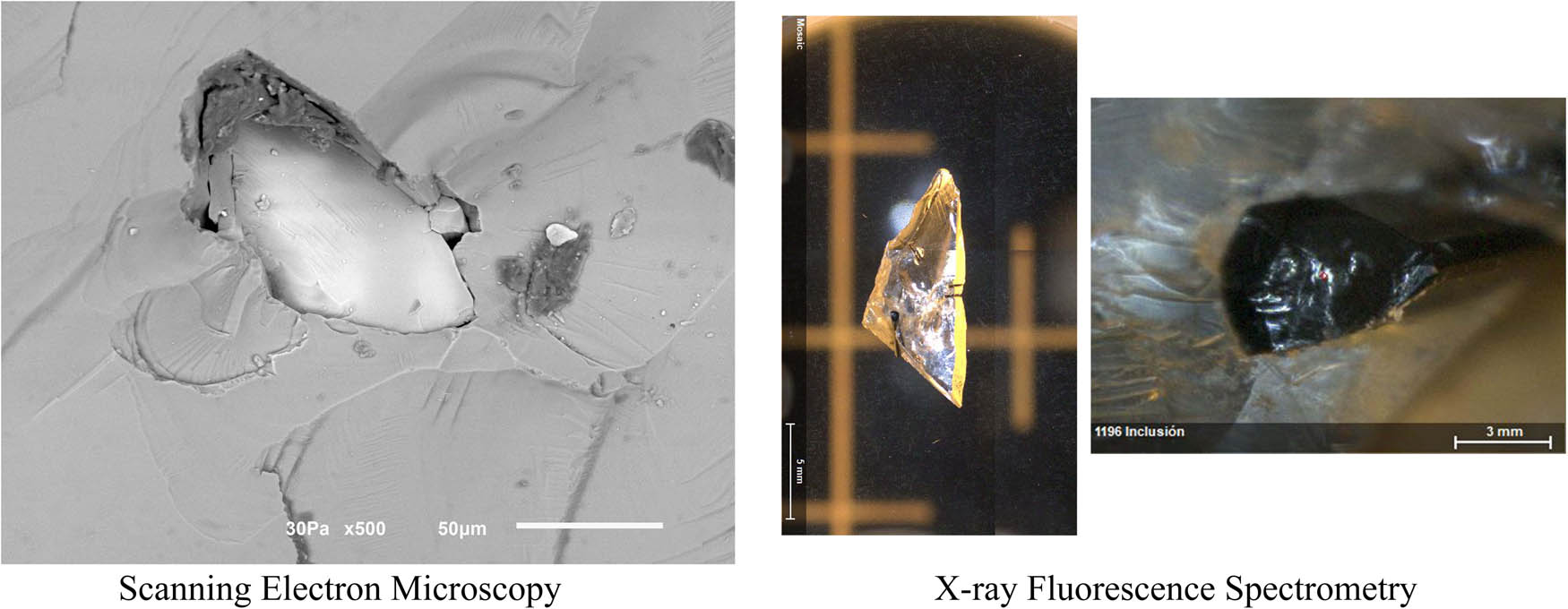 Figure 4
Analytical procedures.
