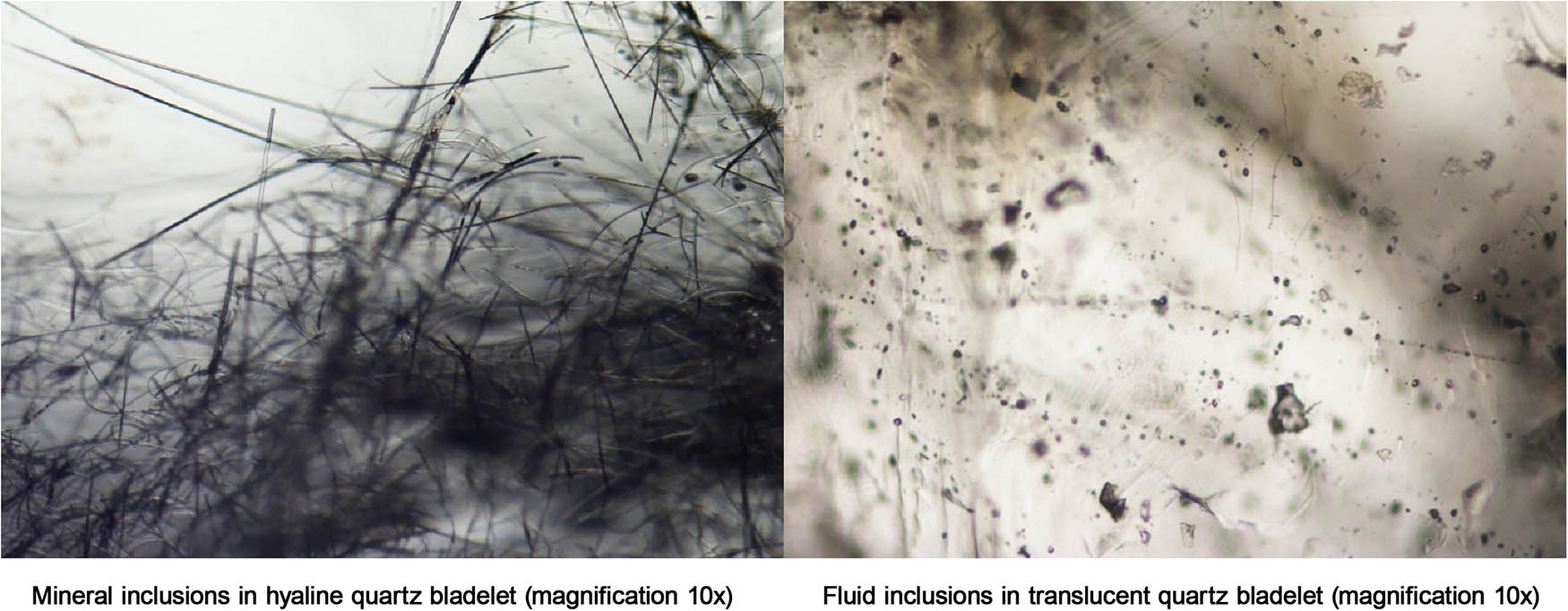 Figure 5
Study of inclusions.