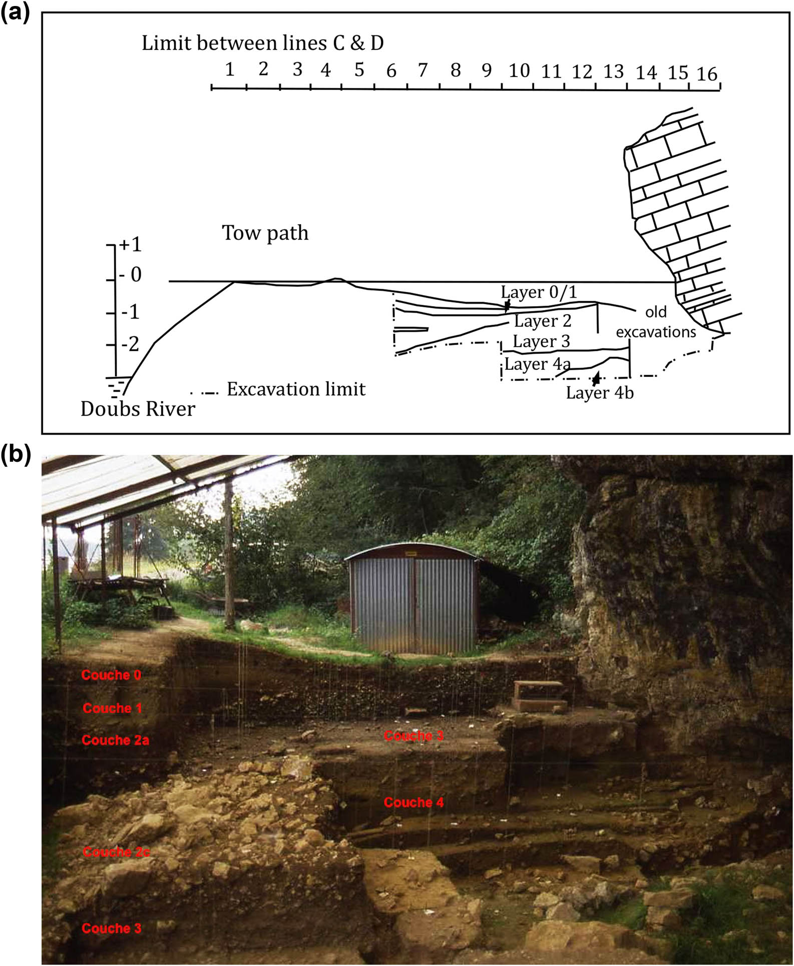 Figure 3
(a) Stratigraphy of Les Cabônes rock shelter. After S. Roué (2000). © N. Carquigny and (b) view of the excavation to the east with annotated stratigraphy. © C. Cupillard.