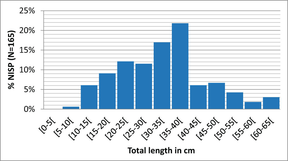 Figure 7
Reconstructed size distribution of salmonids from layer 3 (N = 165 vertebrae).