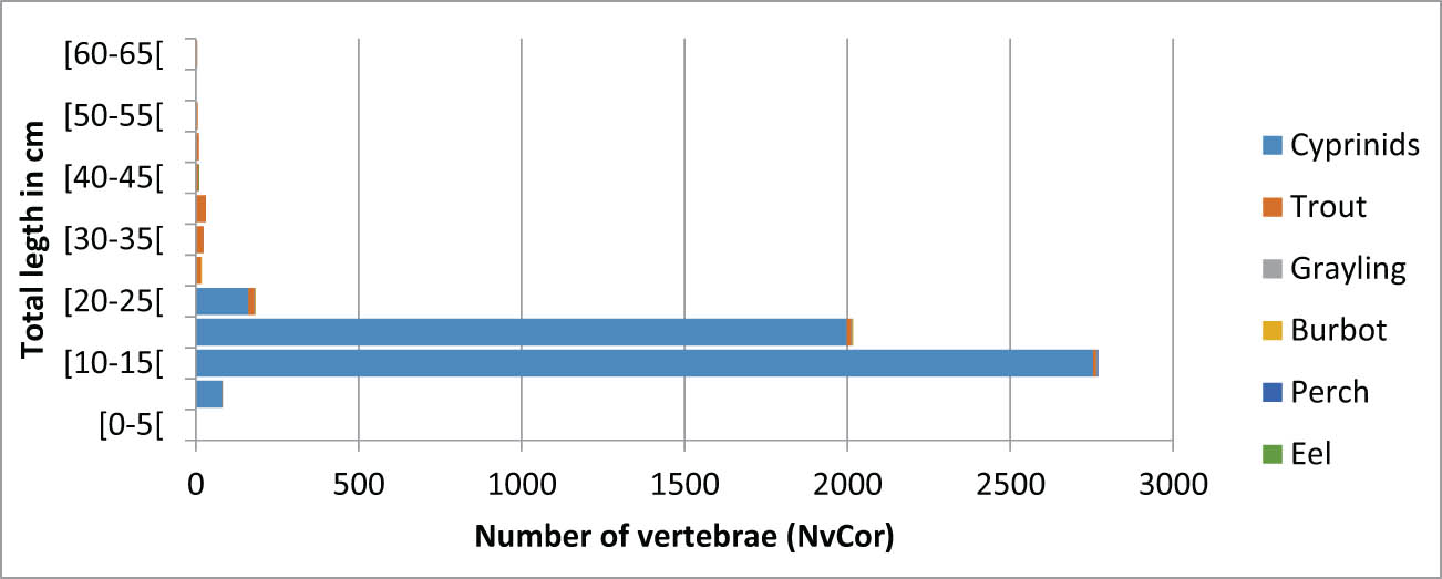 Figure 8
Projected size distribution of reconstructed fish sizes, all taxa, from layer 3, N = 5,158 (size distribution patterns observed for each species have been applied to total corrected number of vertebrae from the species).