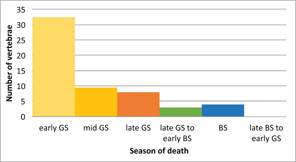 Figure 9
Distribution of identified season of death on a sample of 57 fish vertebrae from layer 3; GS = good season, BS = bad season.