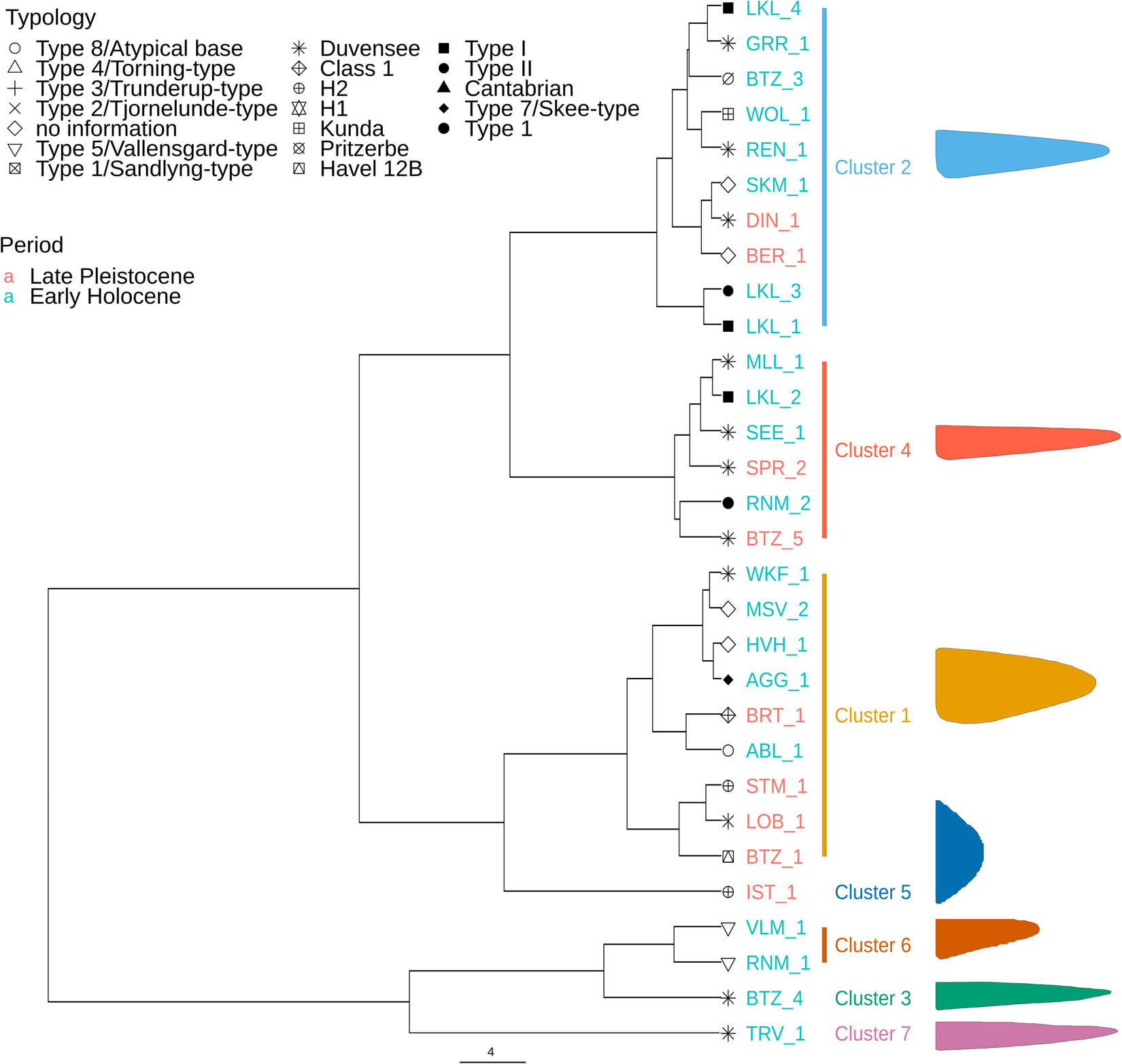 Figure 4
Dendrogram (Ward’s method) based on the pairwise Euclidean distance matrix derived from the PCA scores of the tip dataset. The mean shapes of the clusters are placed on the right. The dendrogram’s tip shapes contain the information about their original typological attribution. The colour coding of the names corresponds to the archaeological period into which they fall.