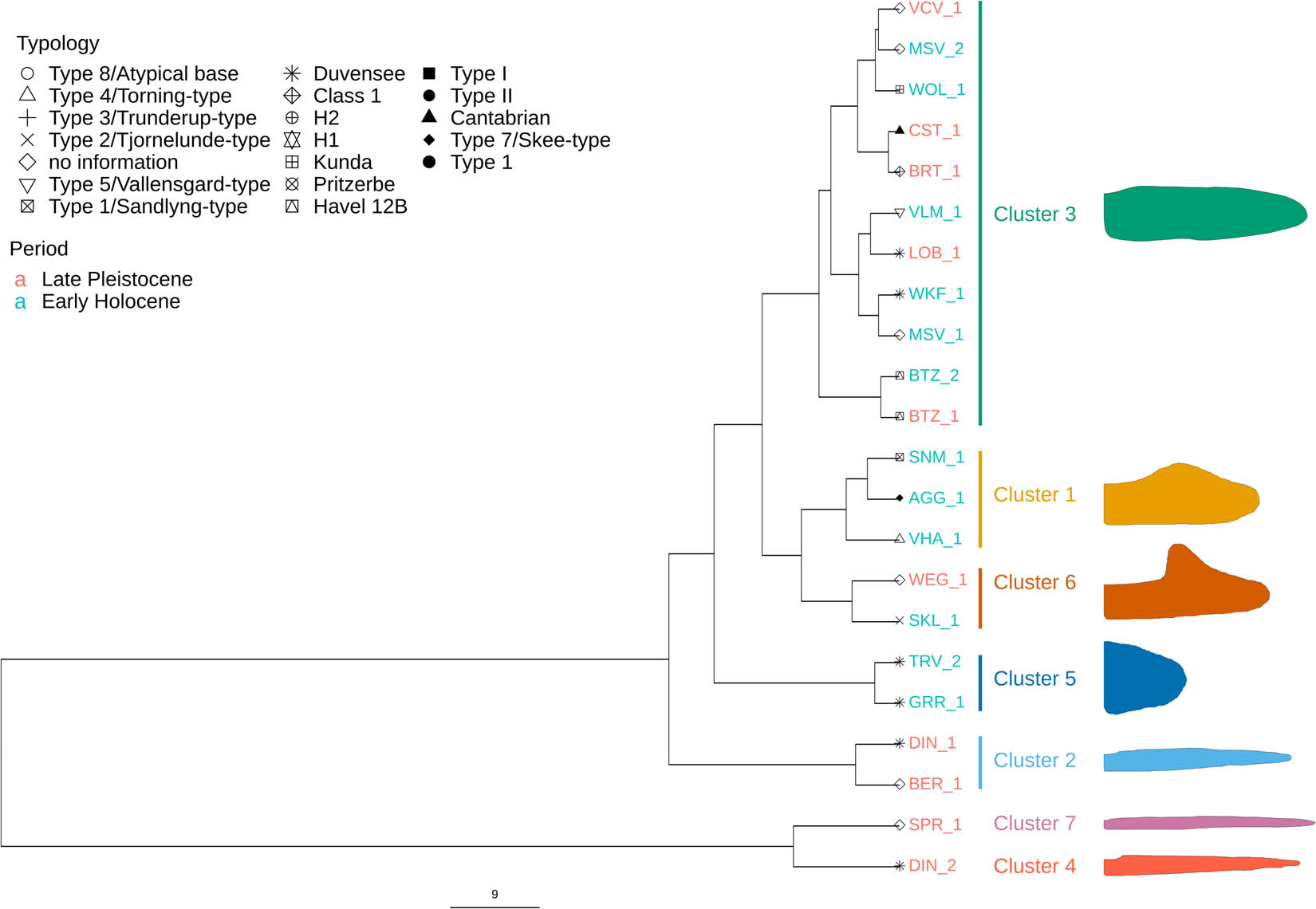 Figure 10
Dendrogram (Ward’s method) based on the pairwise Euclidean distance matrix derived from the PCA scores of the base dataset. The mean shapes of the clusters are placed on the right. The dendrogram’s base shapes contain information about their original typological attribution. The colour coding of the names corresponds to the archaeological period into which they fall.