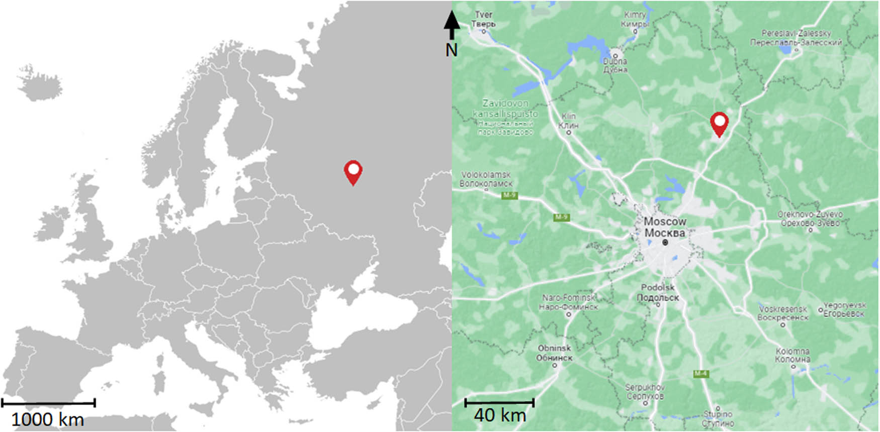 Figure 1
Location of the site Zamostje 2.