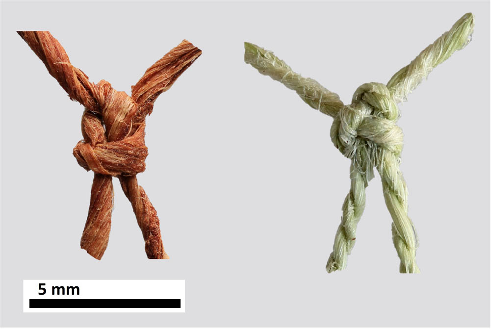 Figure 4
Knots produced with experimental strings made of willow (left) and nettle (right).