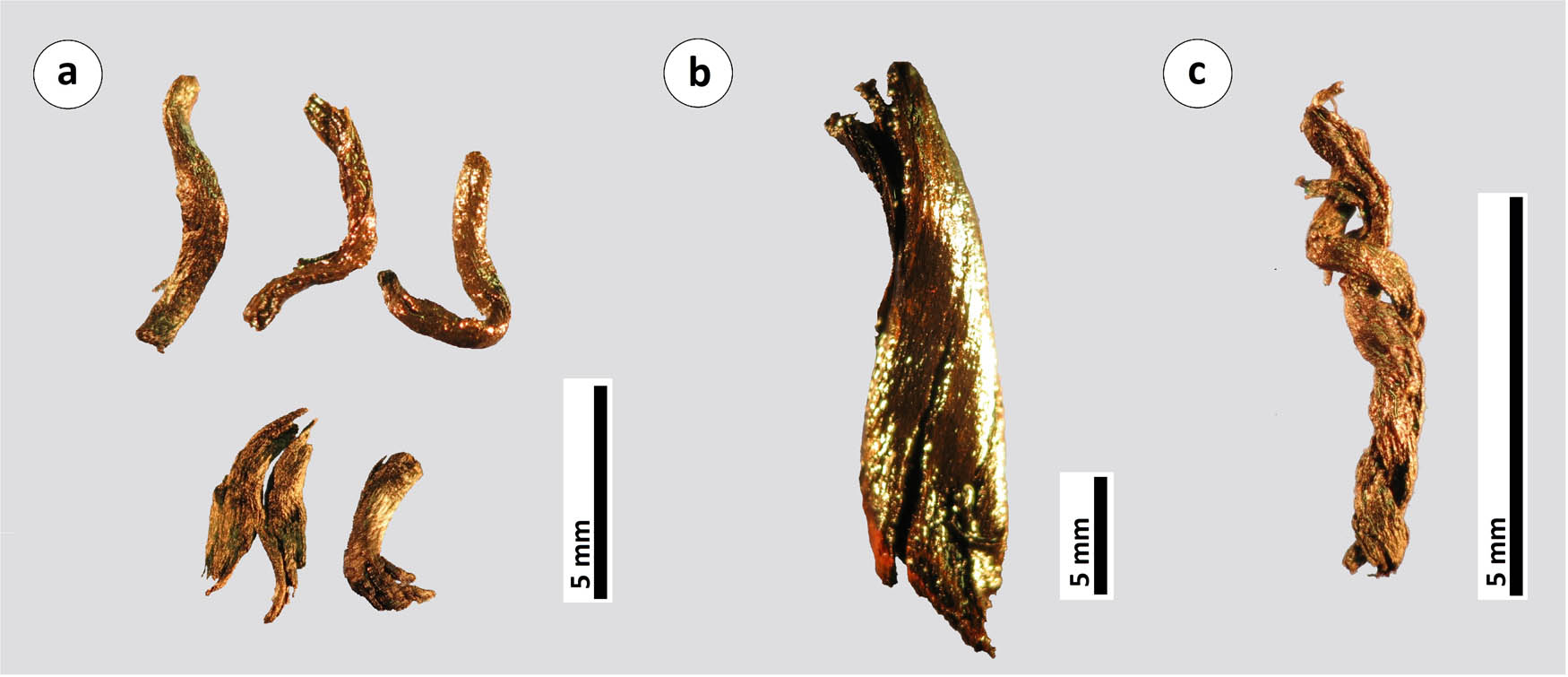 Figure 6
Fibres from Zamostje 2: (a) straight fibres, (b) slightly twisted fibres, and (c) two-strand cord.