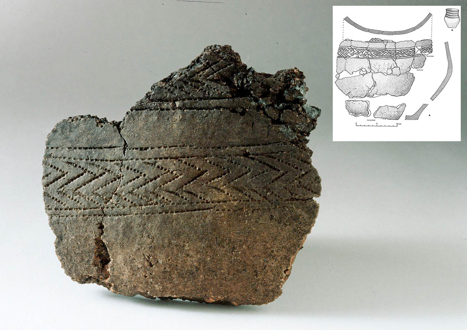 Figure 3
The Bell Beaker sherd (S9648) and drawing of the reconstructed Bell Beaker found at Slettabø (Pl.54 in Skjølsvold, 1977, p. 364). Re-published with permission from Museum of Archaeology, University of Stavanger.