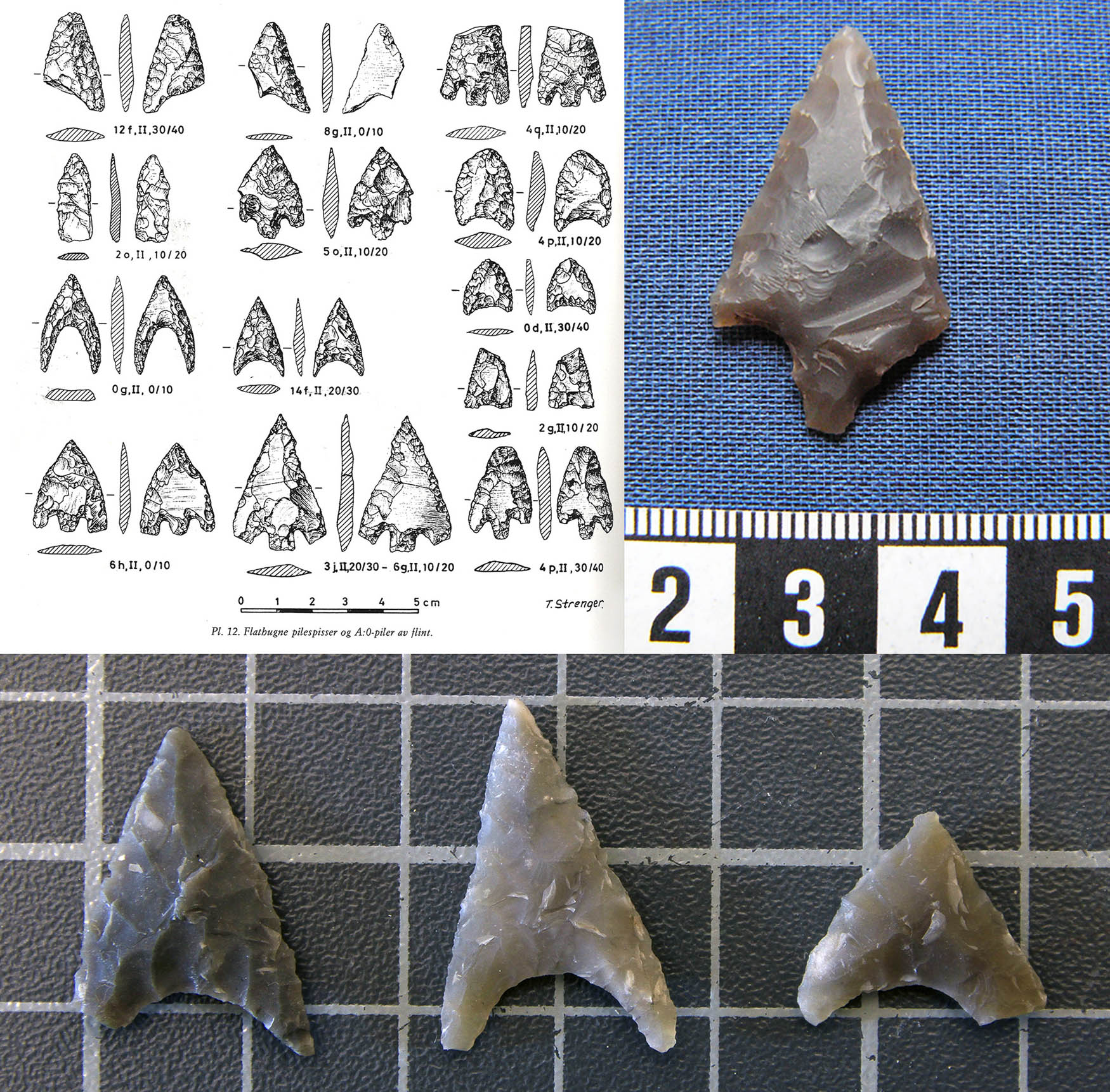 Figure 4
Bell Beaker barbed and tanged arrowhead, and bifacial arrowheads with concave base found along the Norwegian west coast. Top right: From site Fosnaneset 1a at Karmøy, Rogaland County; photo AM, UiS; bottom: from site 134 Jensavikjo, Bømlo, Vestland, photo: Museum of Archaeology, University of Stavanger. Drawing by T. Strenger; top left: points from Slettabø, Rogaland County, pl.12 in Skjølsvold, 1977, p. 322. Re-published with permission from Museum of Archaeology, University of Stavanger.