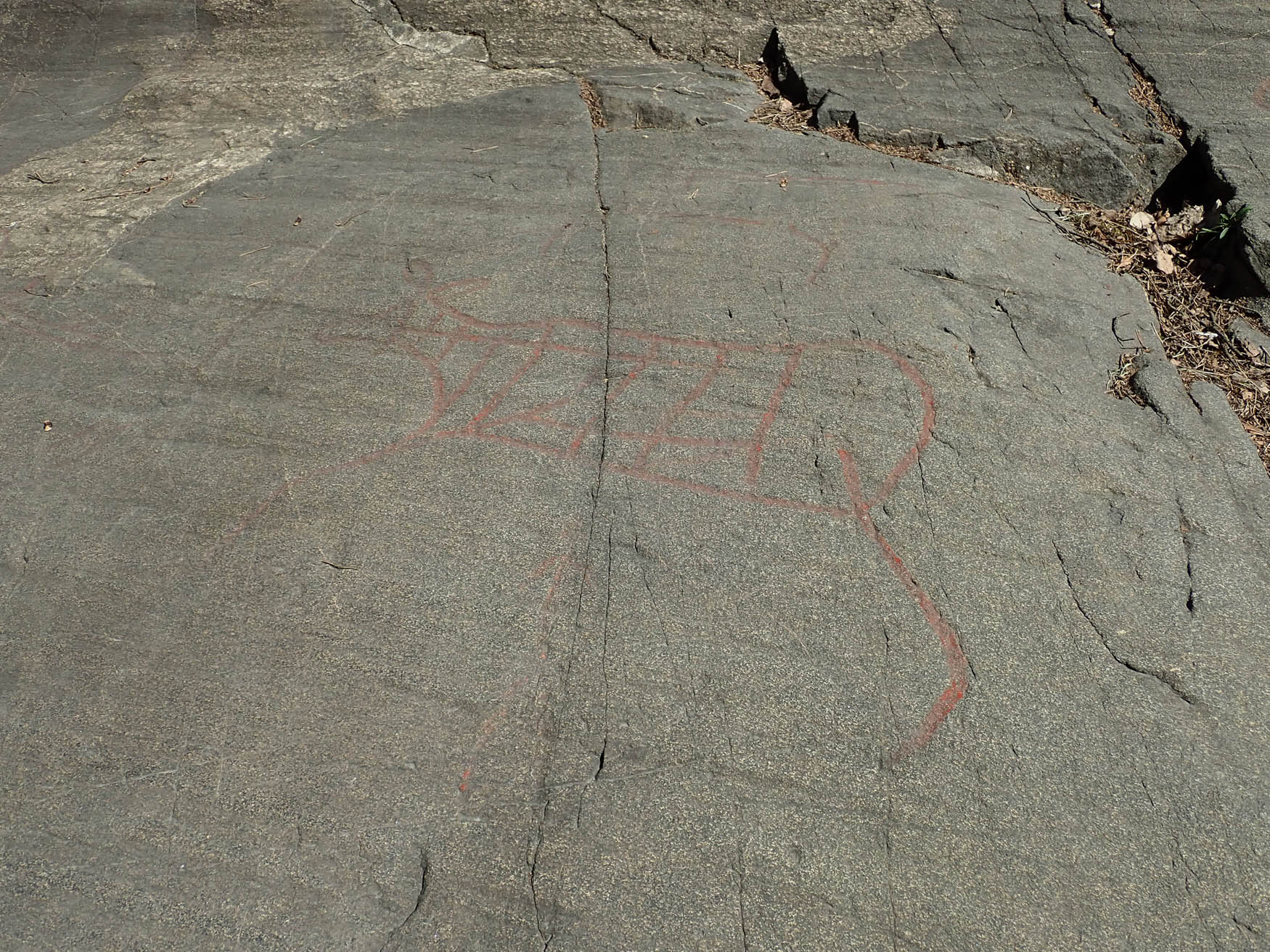 Figure 2
Big terrestrial animals, such as elk or red deer, are depicted on Mesolithic rock carvings in Southeast Norway. Example: Depiction from the Late Mesolithic rock-art site Sjømannskolen, Ekeberg, Oslo. Picture: Almut Schülke.