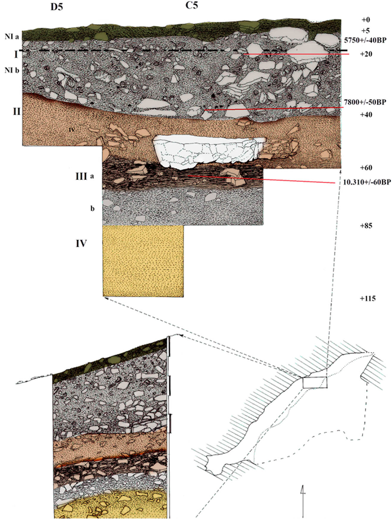 Figure 3
Carabión rock-shelter: stratigraphic profile north of the test pit, squares C5-(D5 Sectors 3.6) with indication of the levels and their radiocarbon dates.