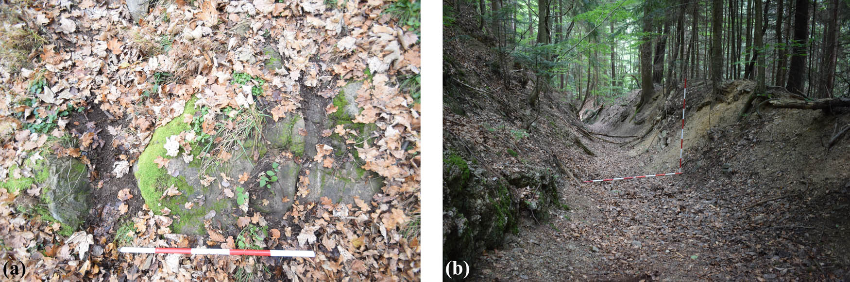 Figure 6
Comparison of old roads in (a) hard substratum (Banská Hodruša–Kerling) and (b) soft substratum (Staré Hory–Richtárová).